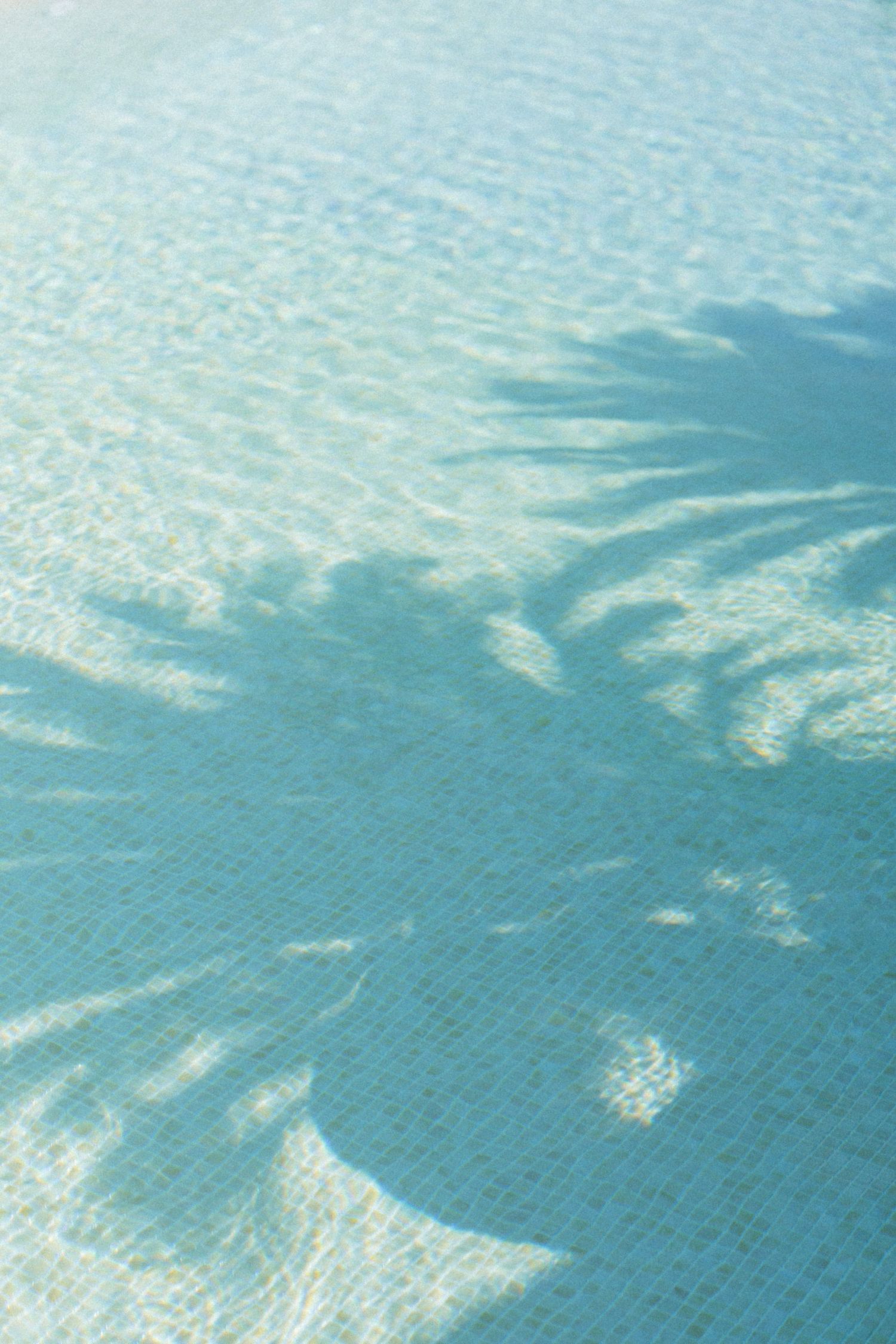 Shadow of a palm tree reflected on the rippling turquoise water of a swimming pool.