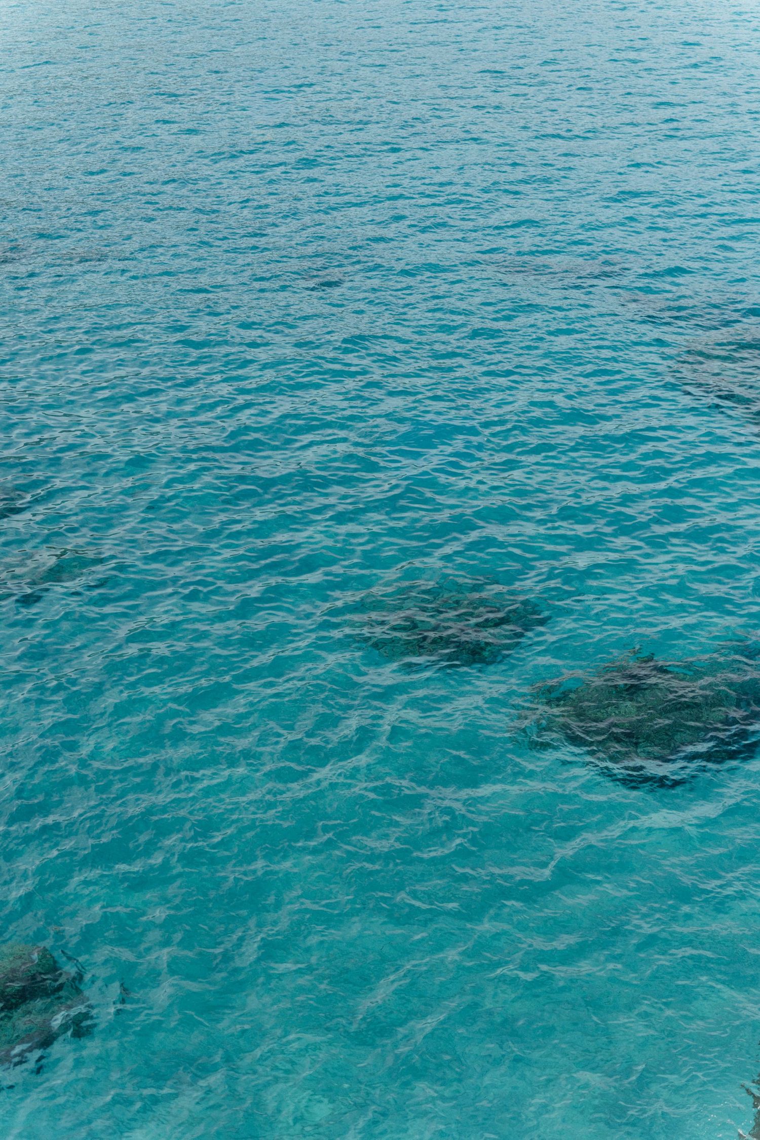 Clear turquoise sea water with gentle ripples and dark rocks visible beneath the surface.