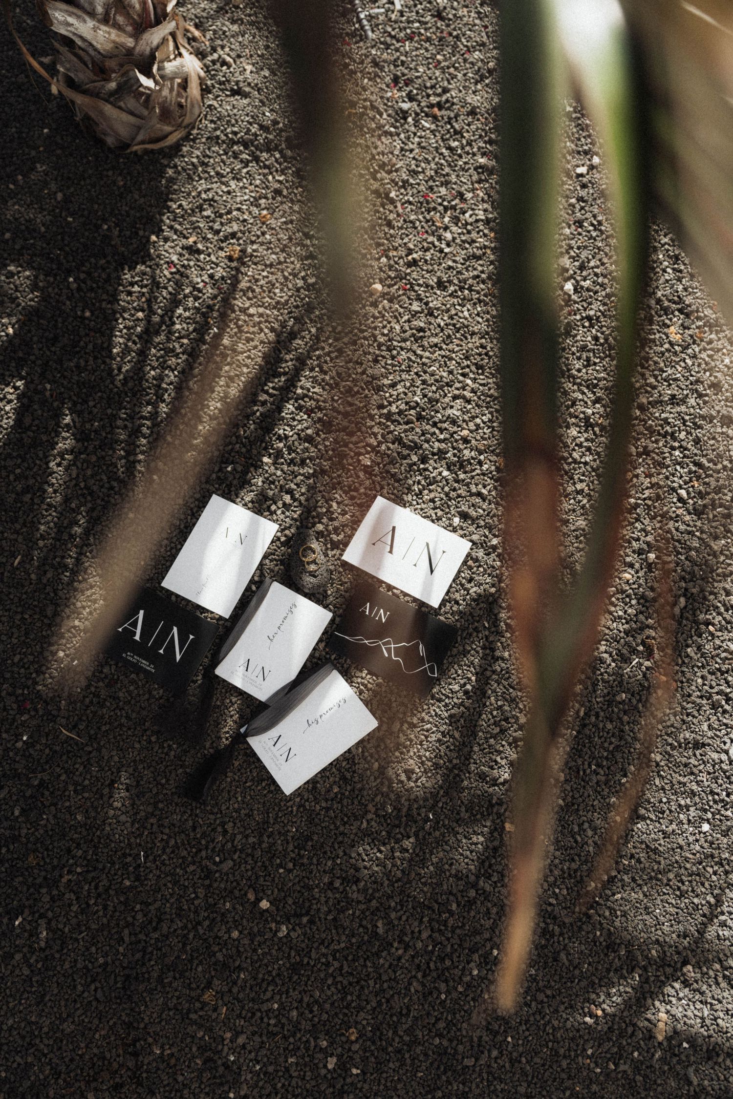 Minimalist brand cards with A/N logo scattered on dark volcanic sand with tropical plant shadows.