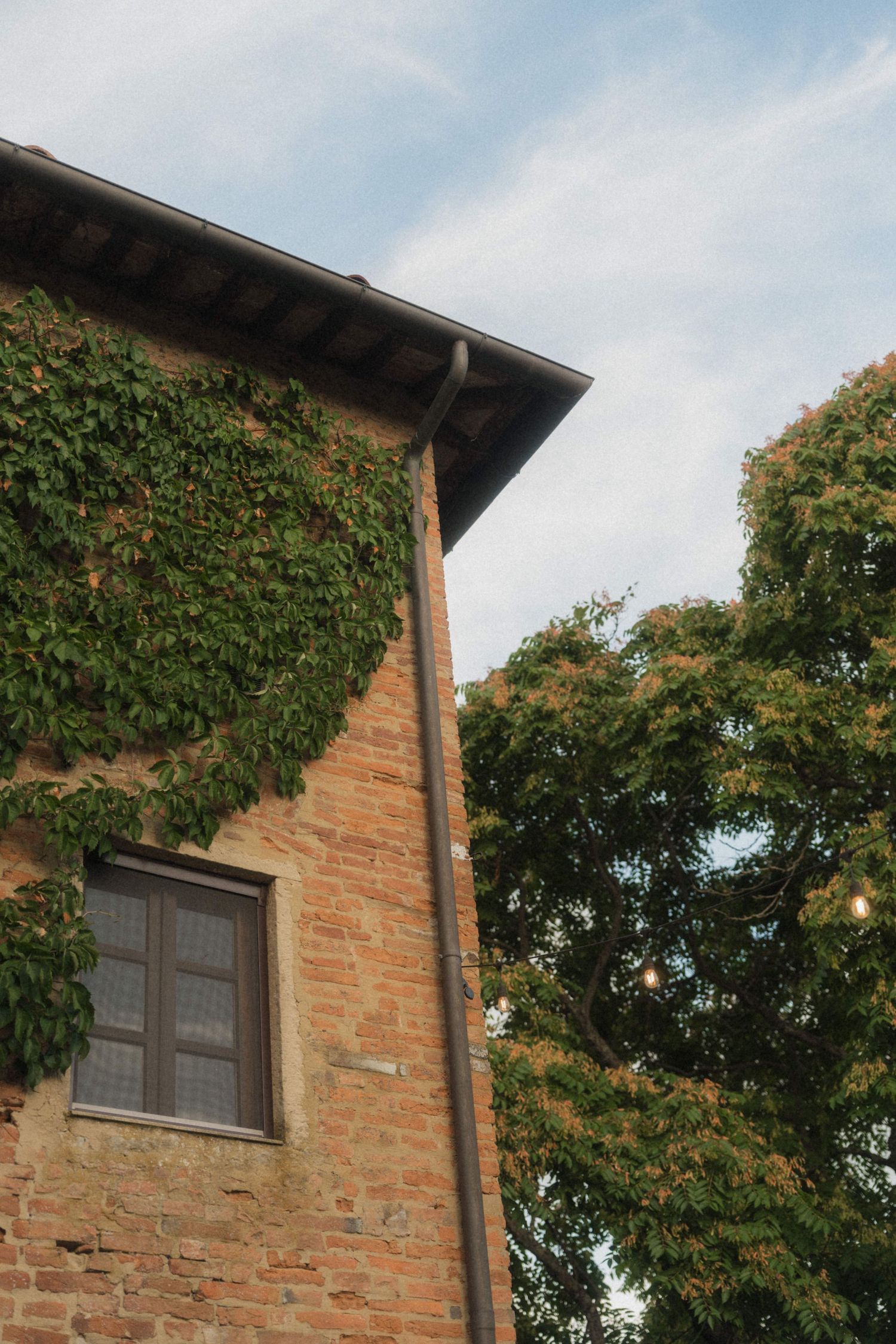 Ivy-covered brick building with a wooden roof overhang and window surrounded by lush green trees.