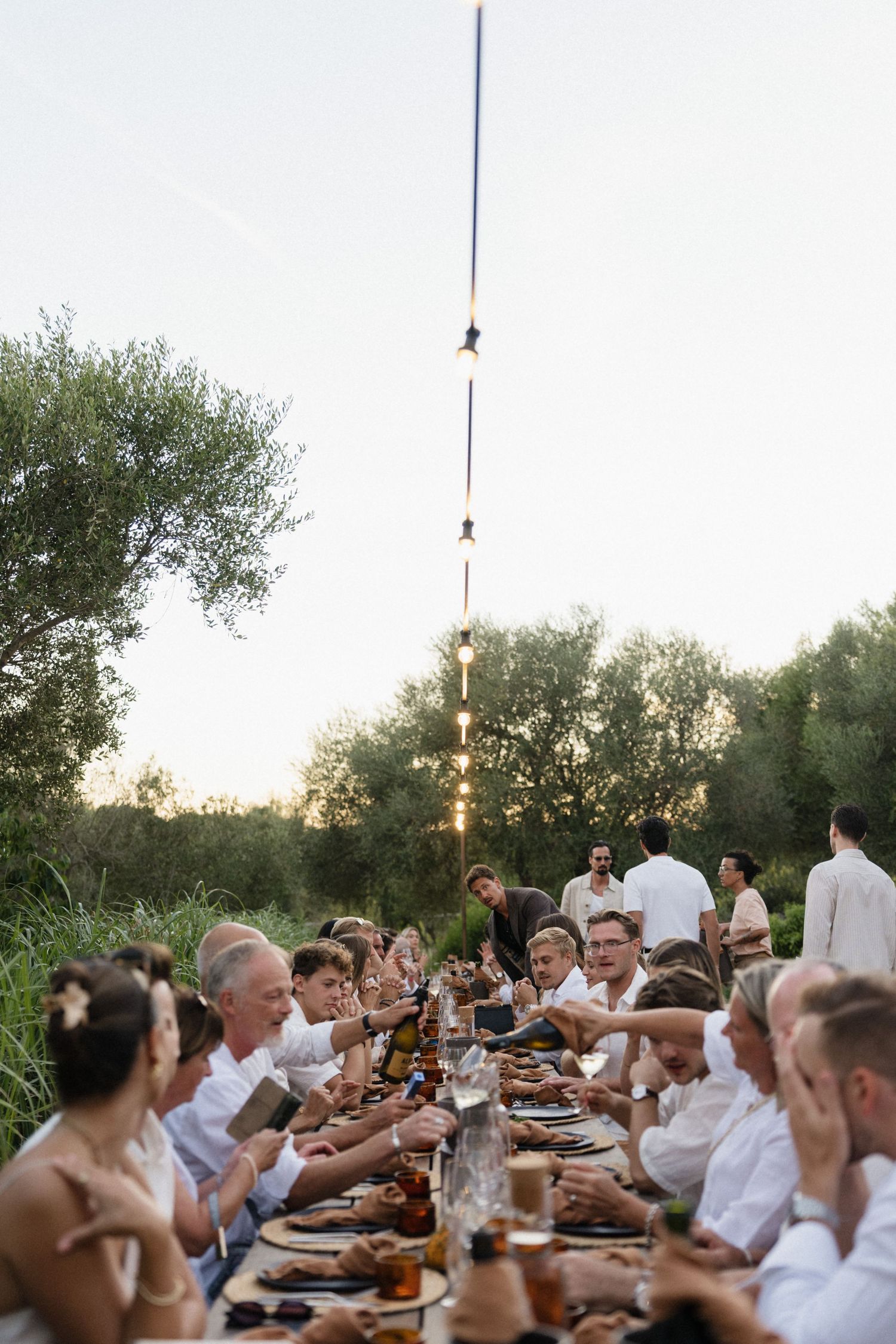 Guests in white shirts share a long outdoor dinner table at sunset, surrounded by trees and string lights stretching into the evening sky.