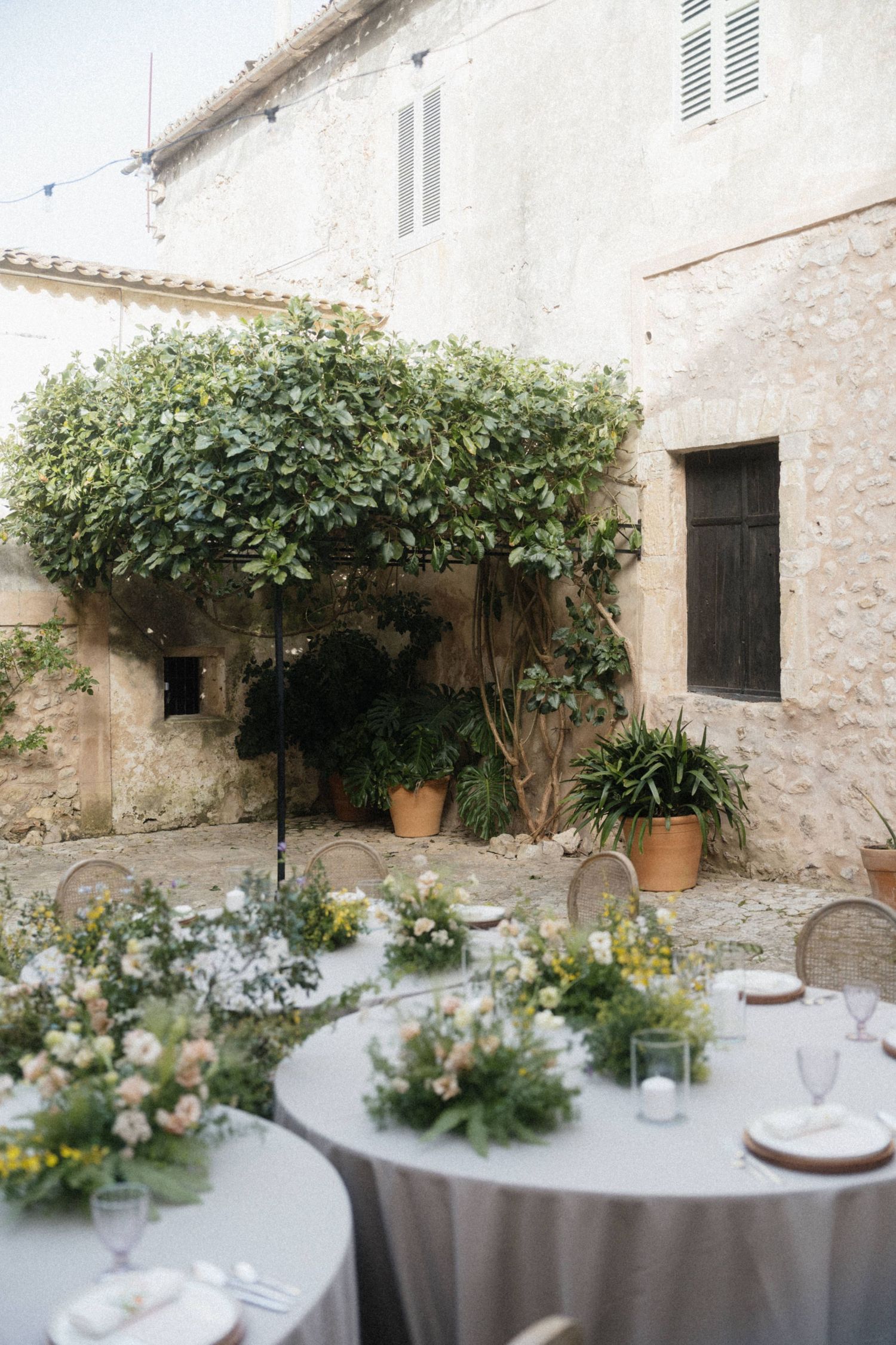 Wedding reception tables with green floral arrangements beneath a manicured tree in stone courtyard.