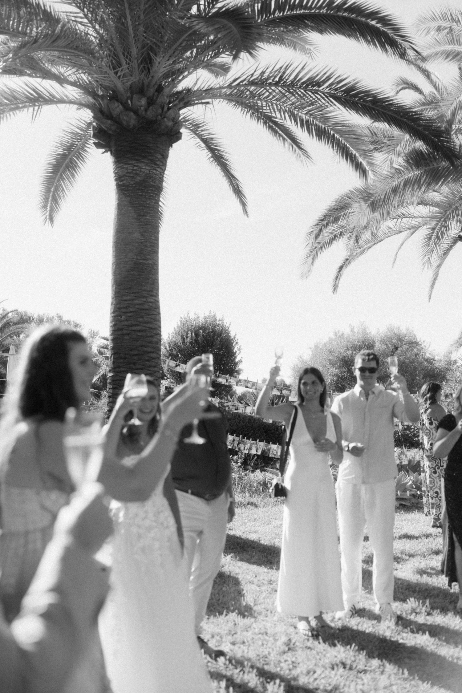 Wedding guests raise champagne glasses in a toast beneath palm trees in black and white.