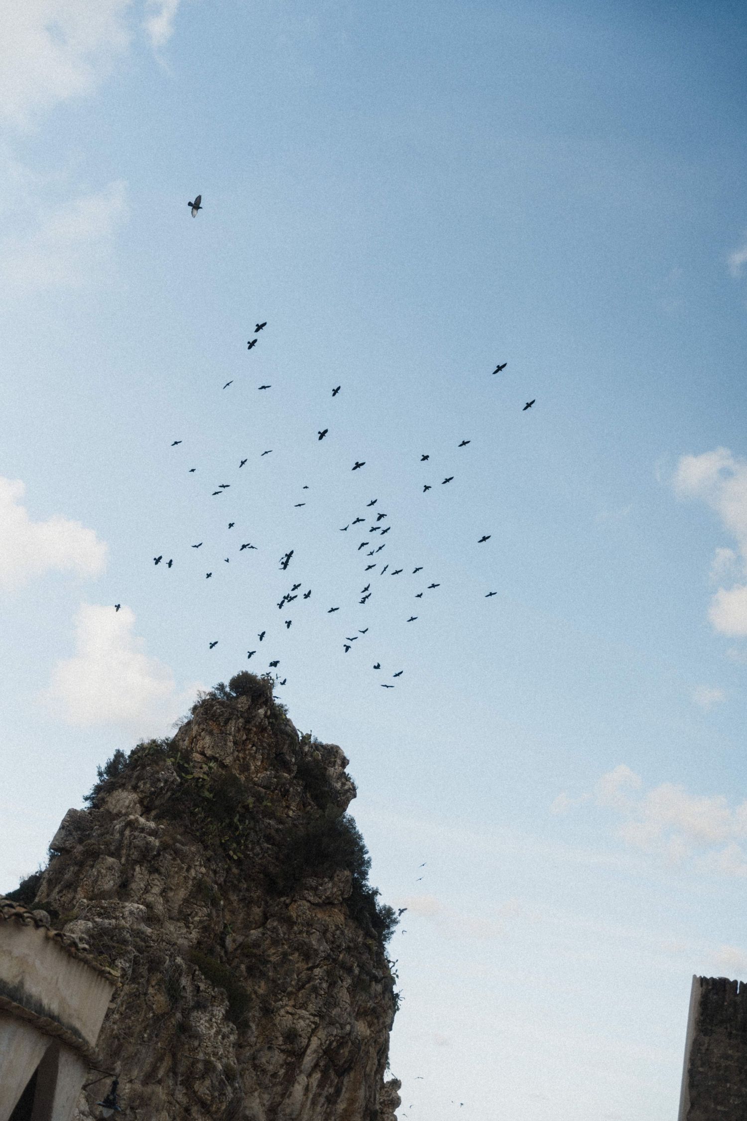 A flock of birds soaring above a rocky cliff formation against a blue sky with scattered clouds.