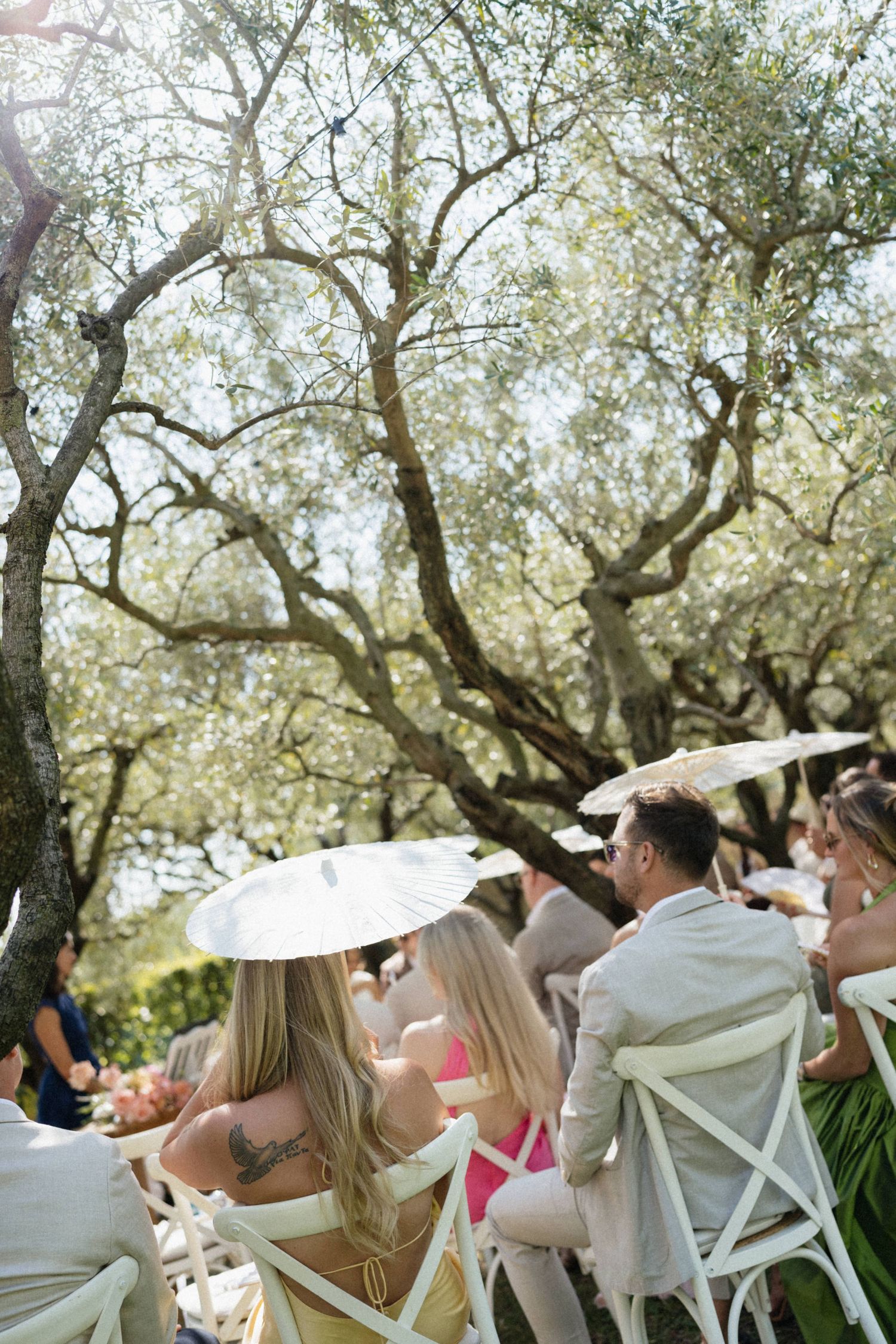 Guests seated outdoors under olive trees at a sunny garden wedding ceremony, some holding white parasols.