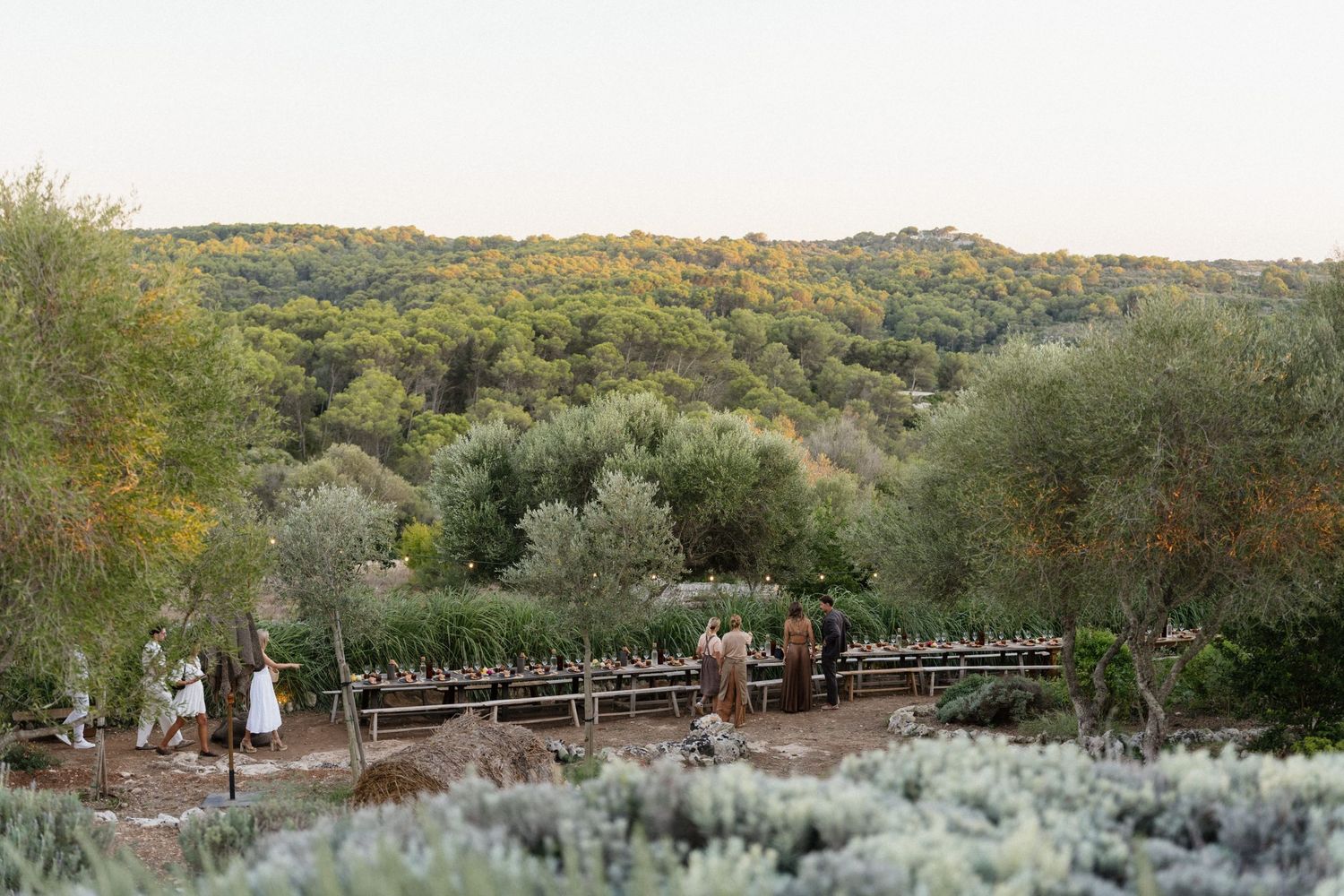 Wedding guests gather along a wooden fence at a scenic outdoor venue overlooking forested hills at golden hour.