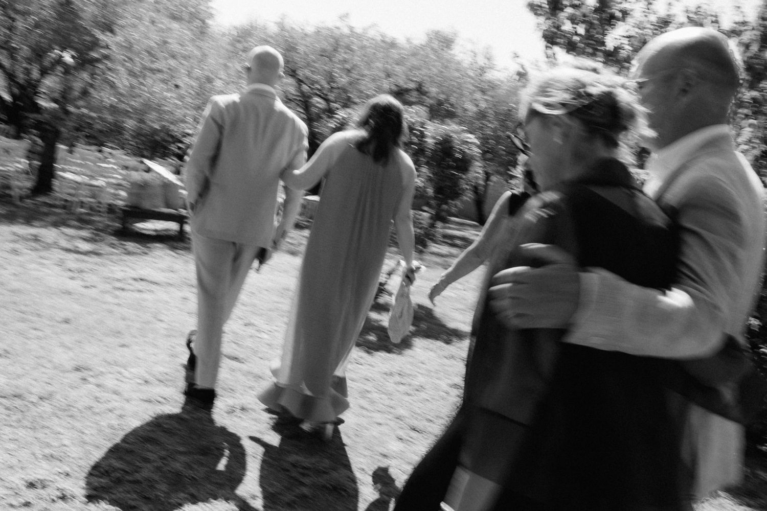 Black and white photo of wedding guests walking through a sunlit olive tree grove.