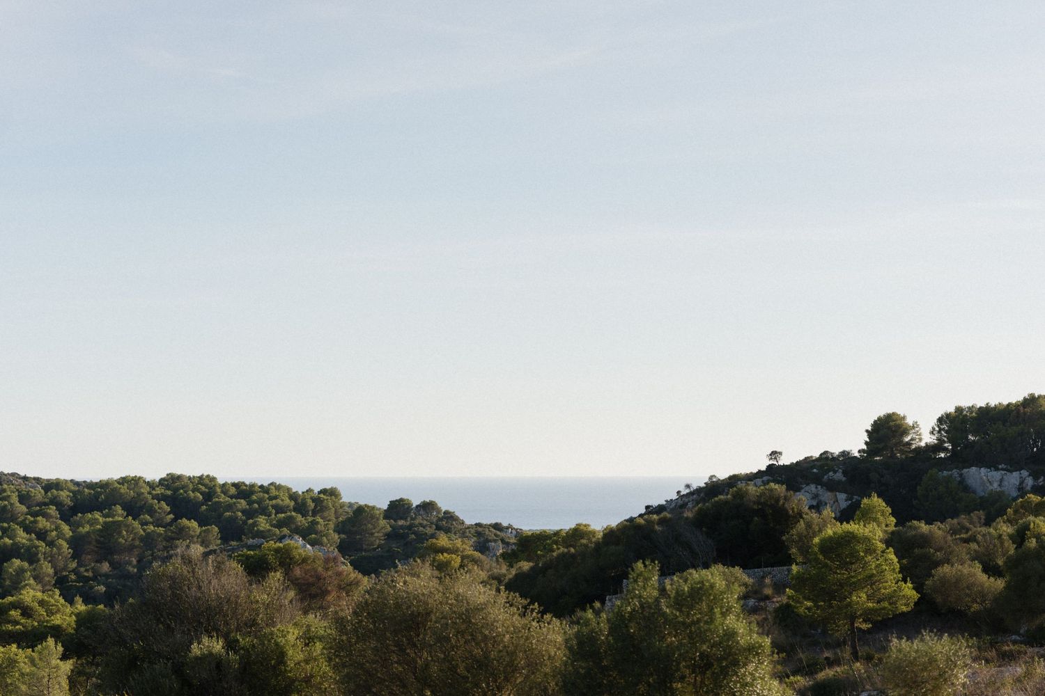 Lush green Mediterranean hillside with dense trees and scattered houses overlooking a calm blue sea under a soft hazy sky.