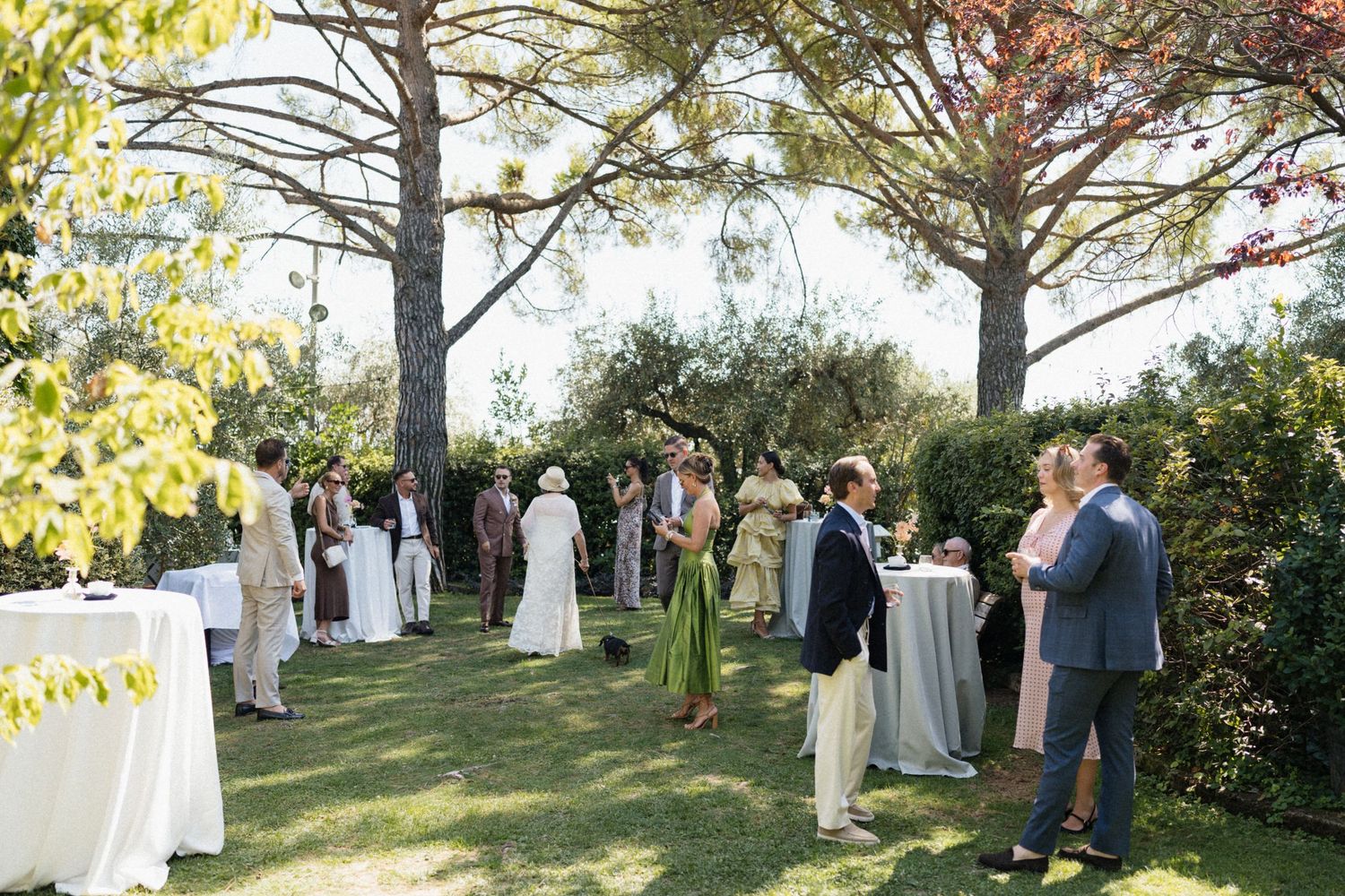 Elegant outdoor wedding cocktail hour with guests mingling on lush green lawn beneath tall trees at a garden venue.