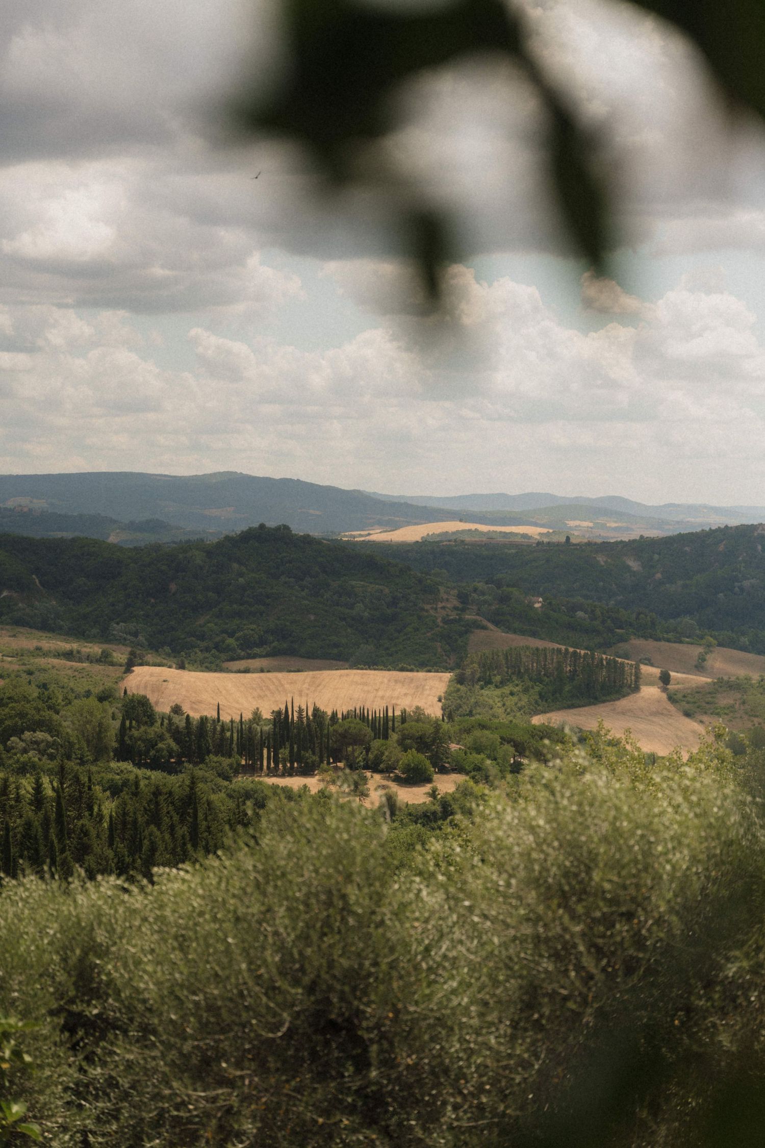 Panoramic Tuscan landscape with rolling hills, cypress trees, golden fields, and lush greenery under a cloudy sky.