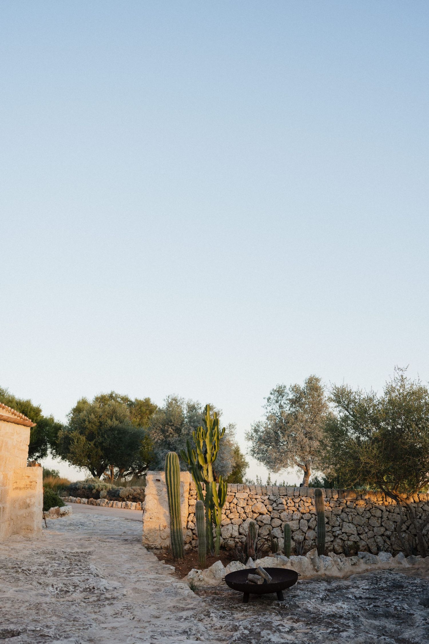 A sunlit stone courtyard with tall cacti, a dry stone wall, olive trees, and a small fire pit under a clear pale blue sky.