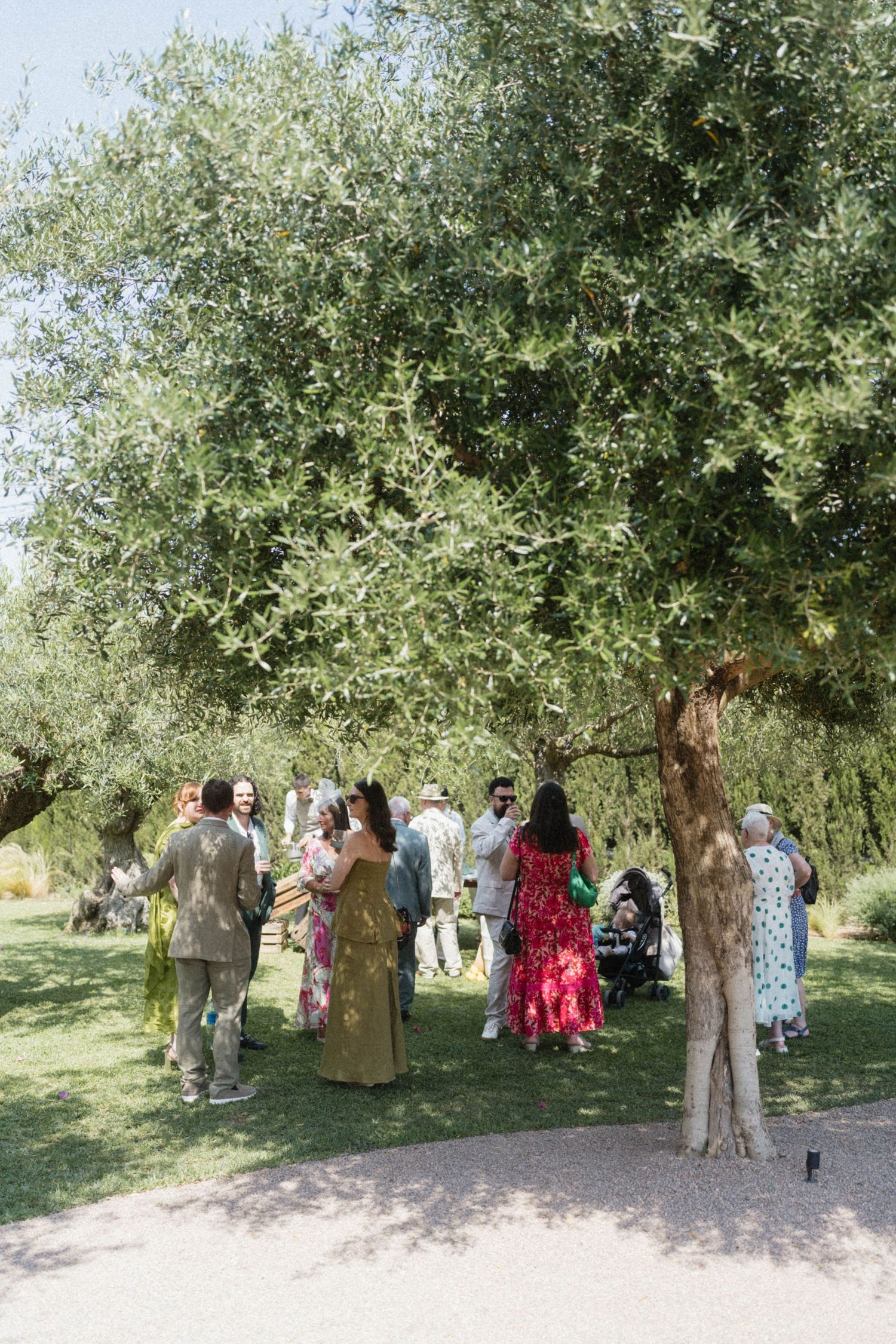 Guests in colorful attire gather under a large olive tree on a sunny day at an outdoor garden party.