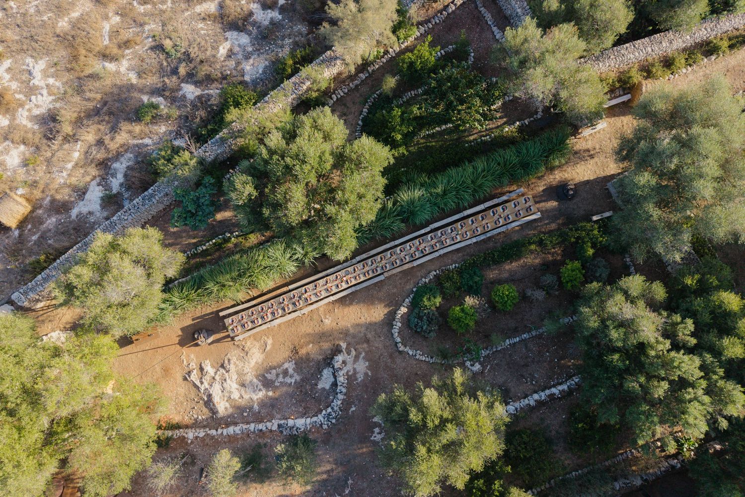 Aerial view of an ancient stone aqueduct bridge surrounded by green trees and dry terrain in a Mediterranean landscape.