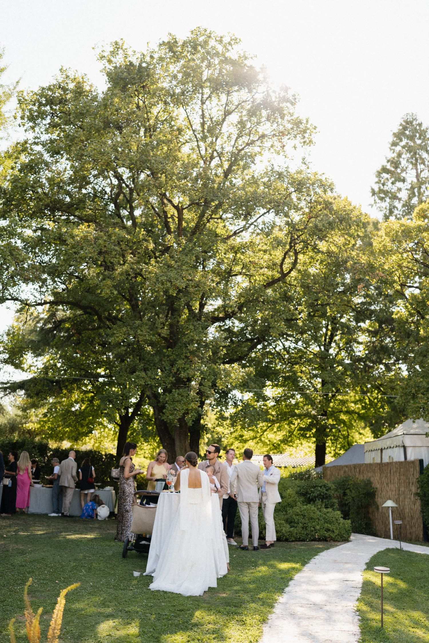 Outdoor wedding reception under a large green tree with guests in elegant attire on a sunny day.