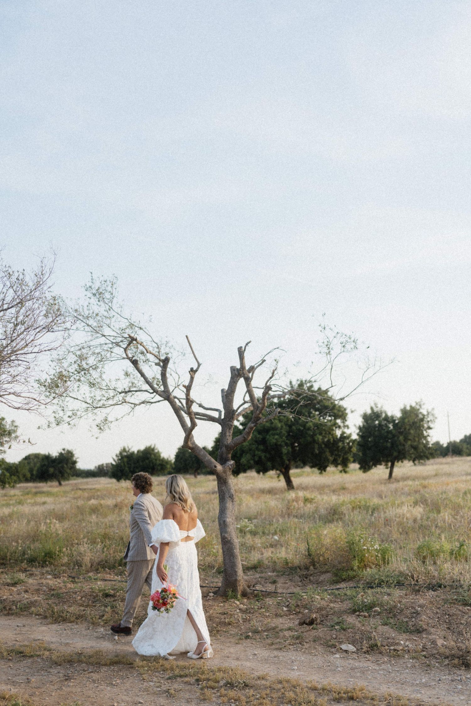 Bride and groom walking hand in hand through a rustic field with bare trees at golden hour.