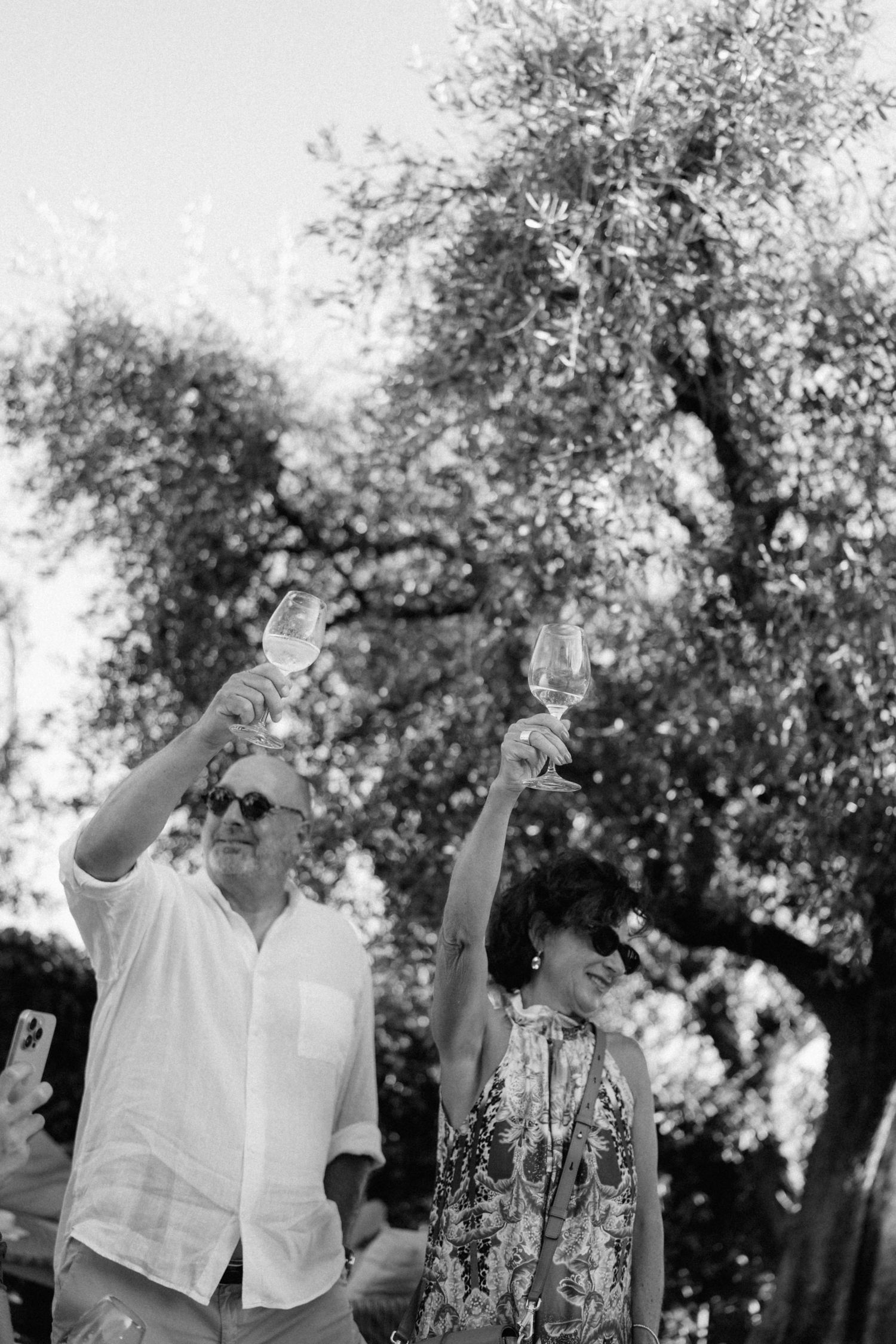 A man and woman raising wine glasses in a toast outdoors beneath an olive tree.