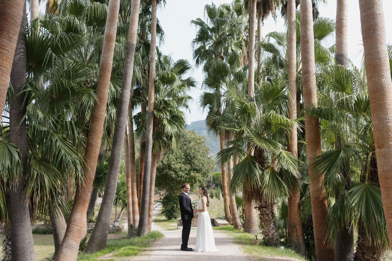 Bride and groom stand together on a sunlit path lined with tall palm trees, creating a romantic wedding portrait in a lush garden.