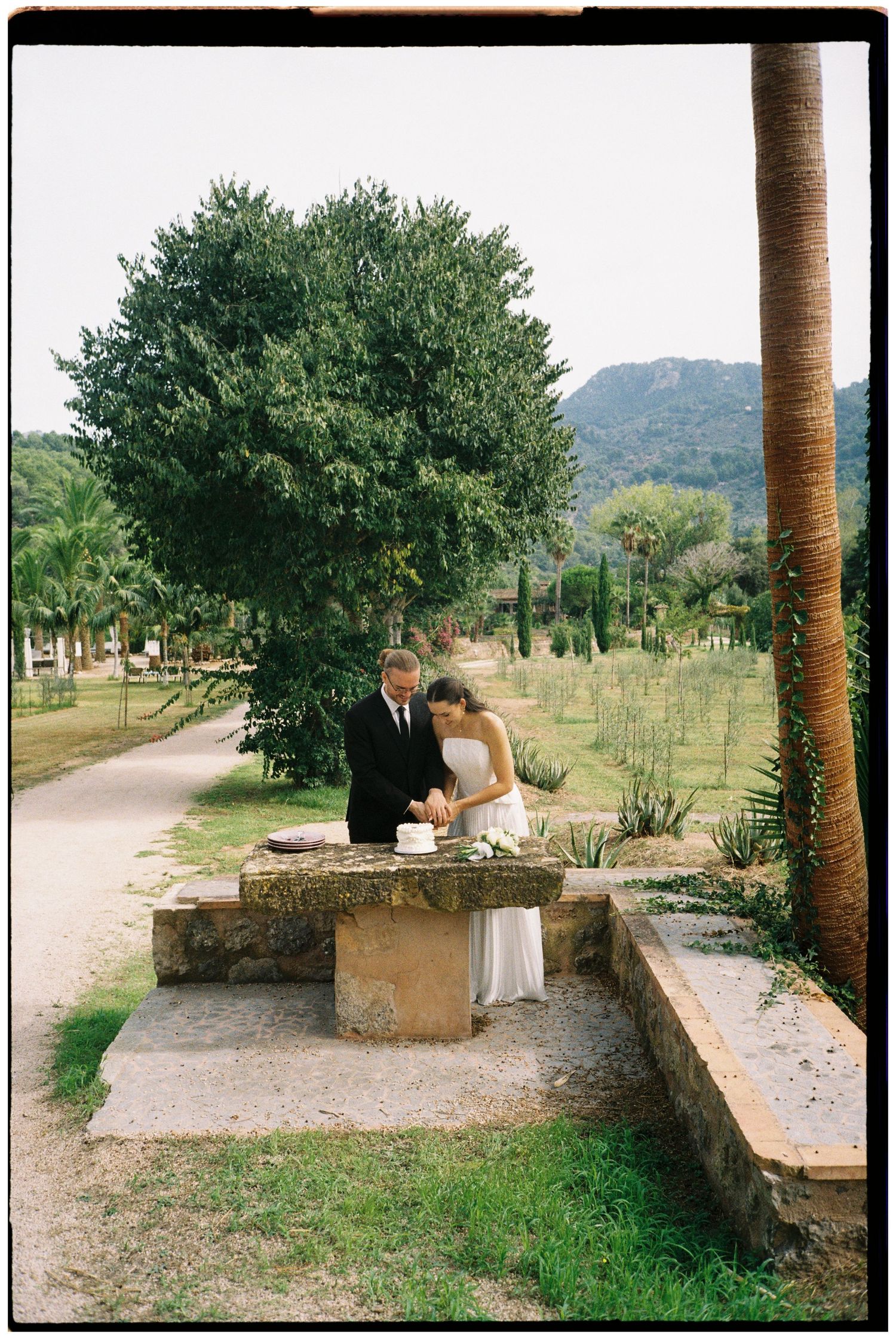 Bride and groom cutting their wedding cake on a stone table in a sunlit garden with palm trees, olive groves and mountains behind.