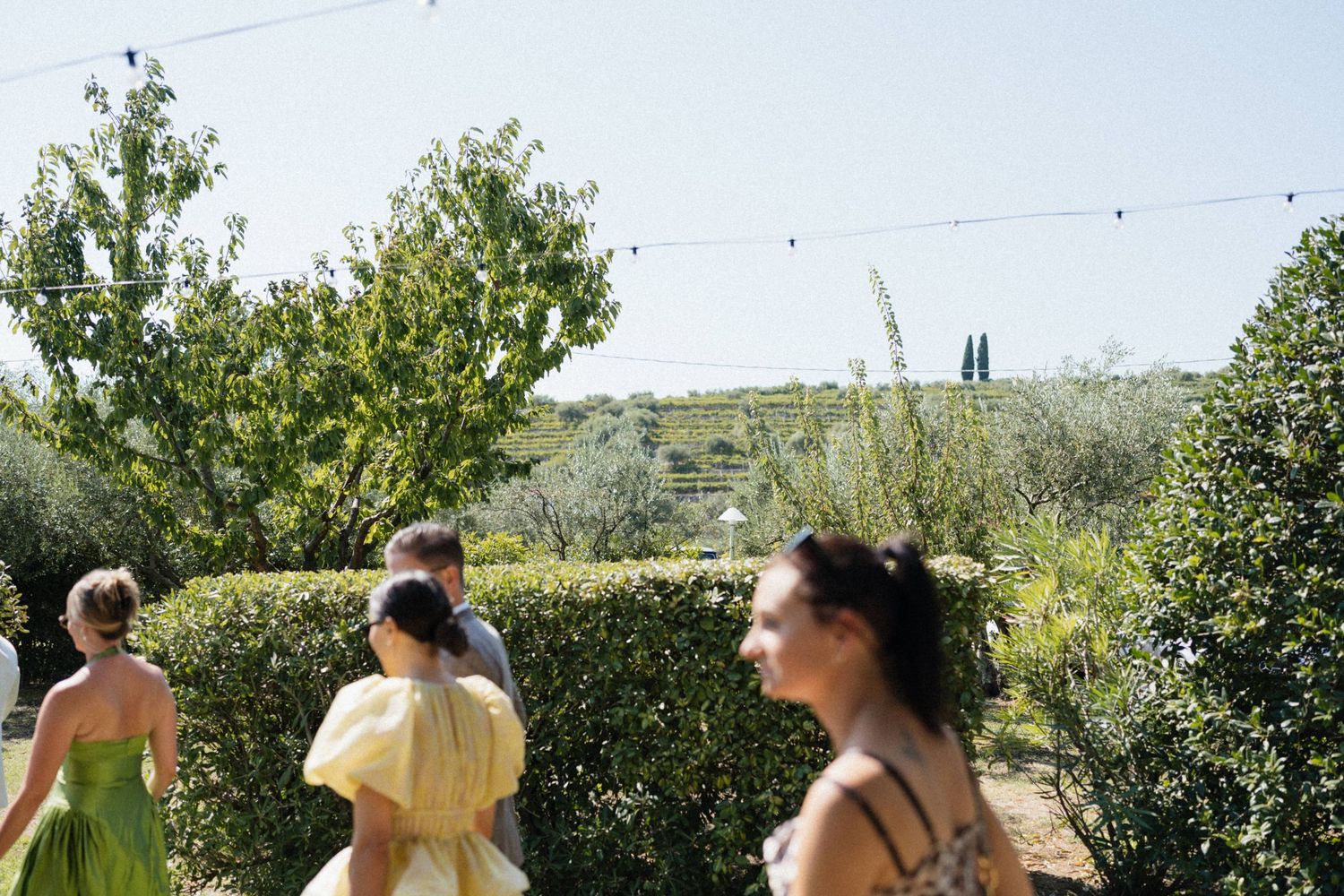 Guests in colorful dresses walk through a lush garden with string lights and olive trees at an outdoor wedding.