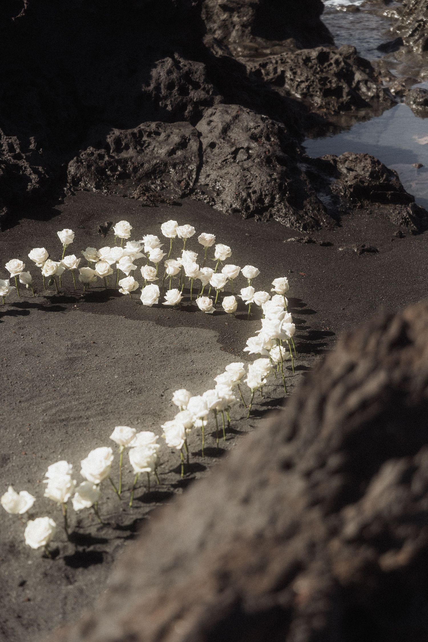 Heart shape made of white roses arranged on dark volcanic black sand beach.