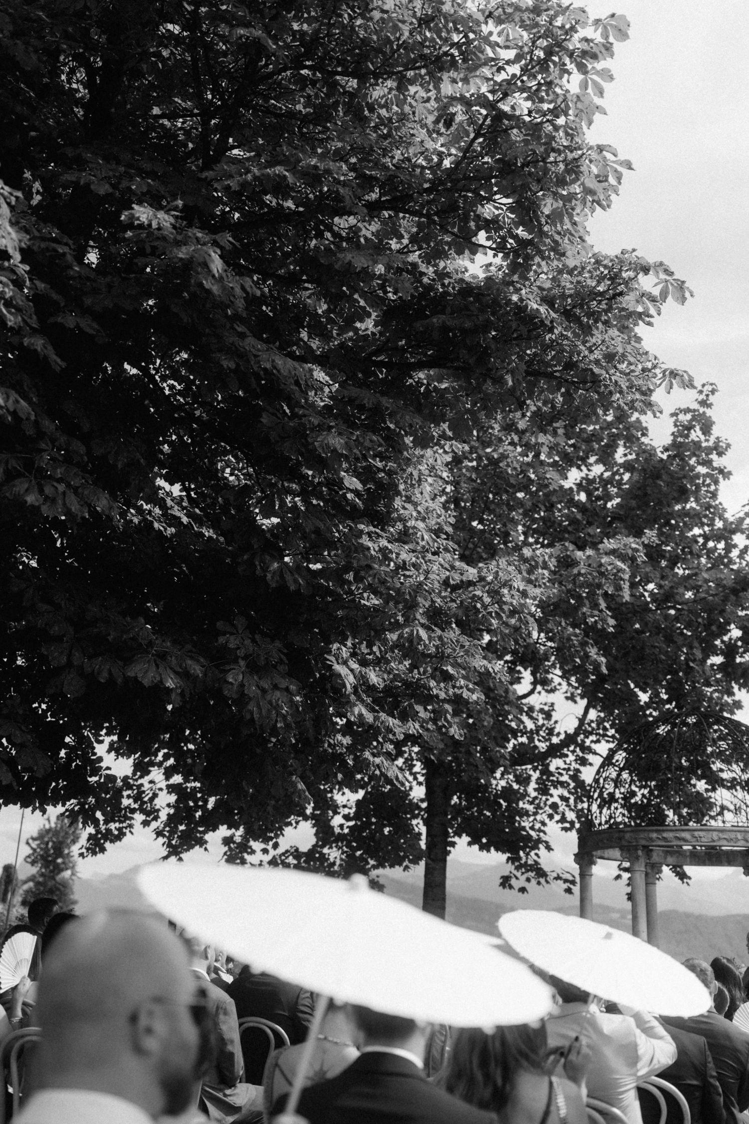 Black and white photo of wedding guests seated outdoors holding white parasols under a large leafy tree.