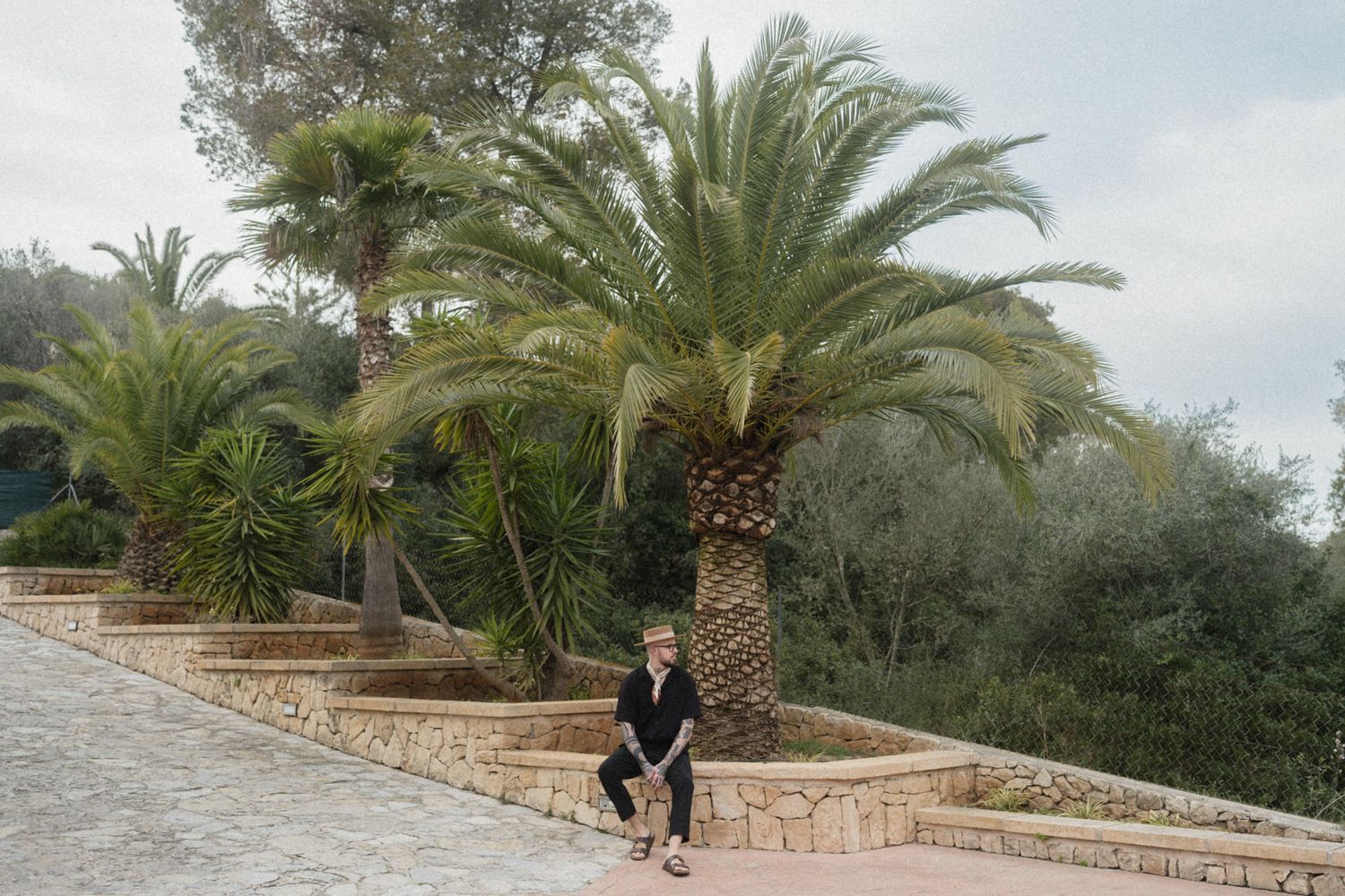 Person sitting on stone steps beside large palm trees in a Mediterranean garden landscape.
