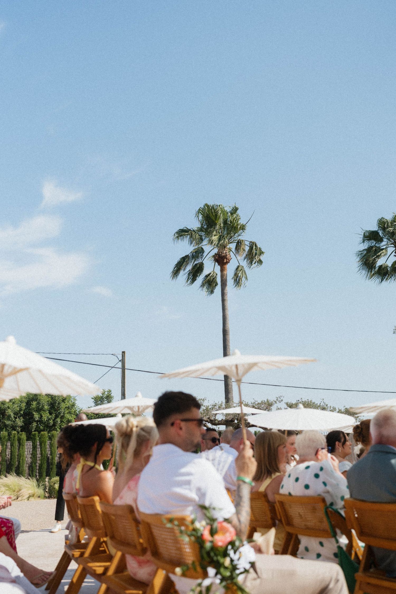 Wedding guests seated in wooden chairs under white parasols with palm tree and blue sky backdrop.
