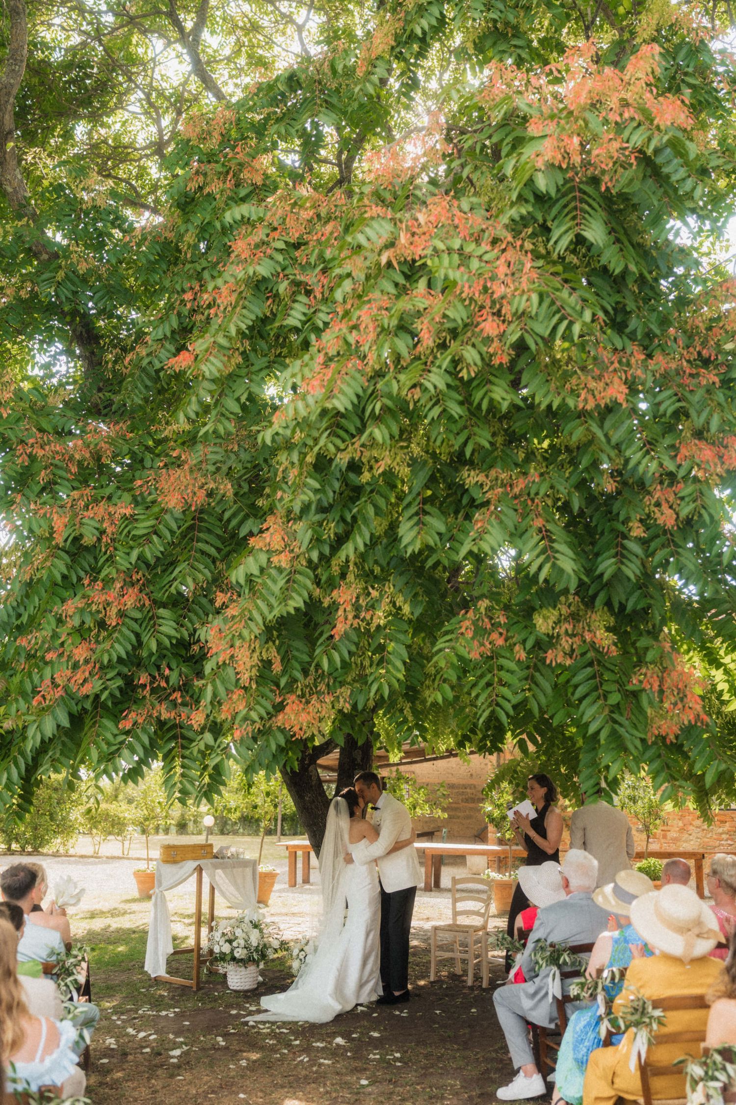 Bride and groom exchange vows beneath a large canopy tree during an intimate outdoor wedding ceremony.