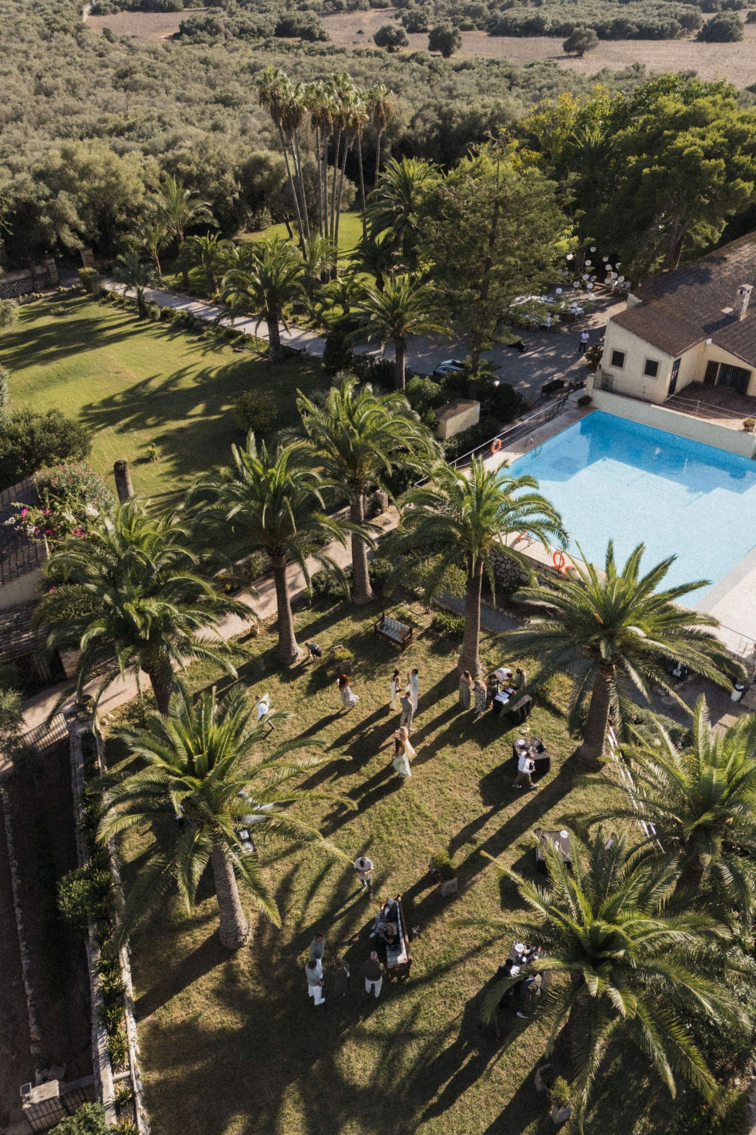 Aerial drone view of wedding venue with palm trees, pool, and guests mingling.