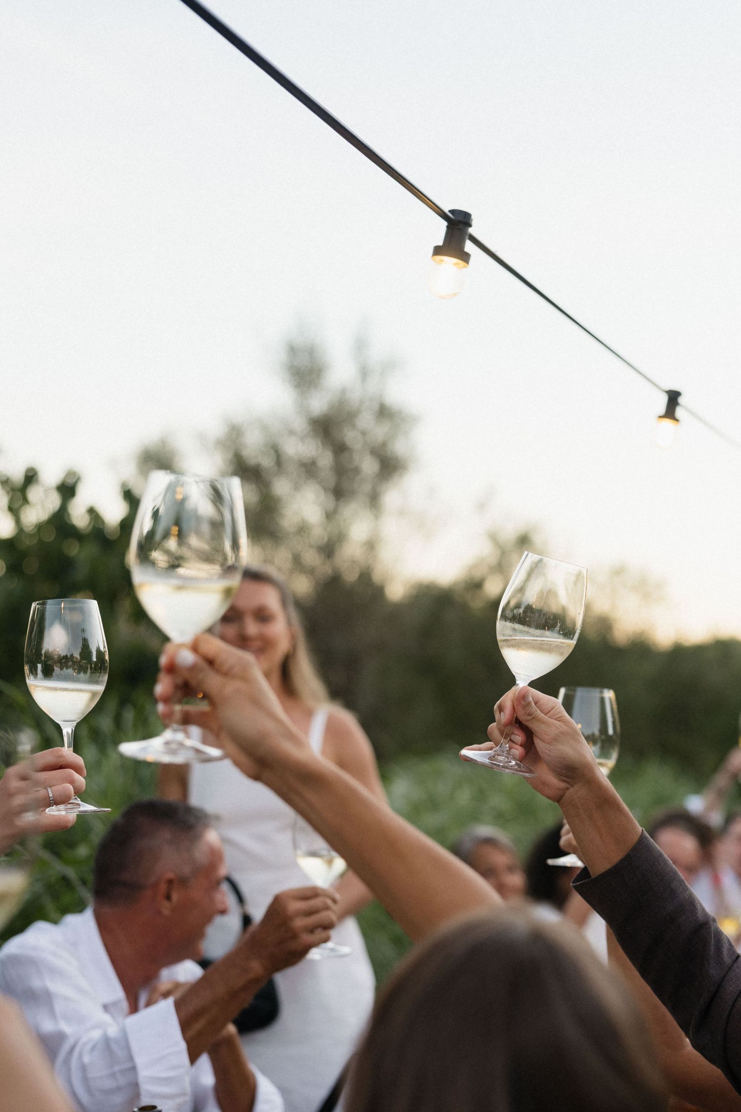 Guests raise wine glasses in a celebratory toast at an outdoor dinner under string lights at sunset.
