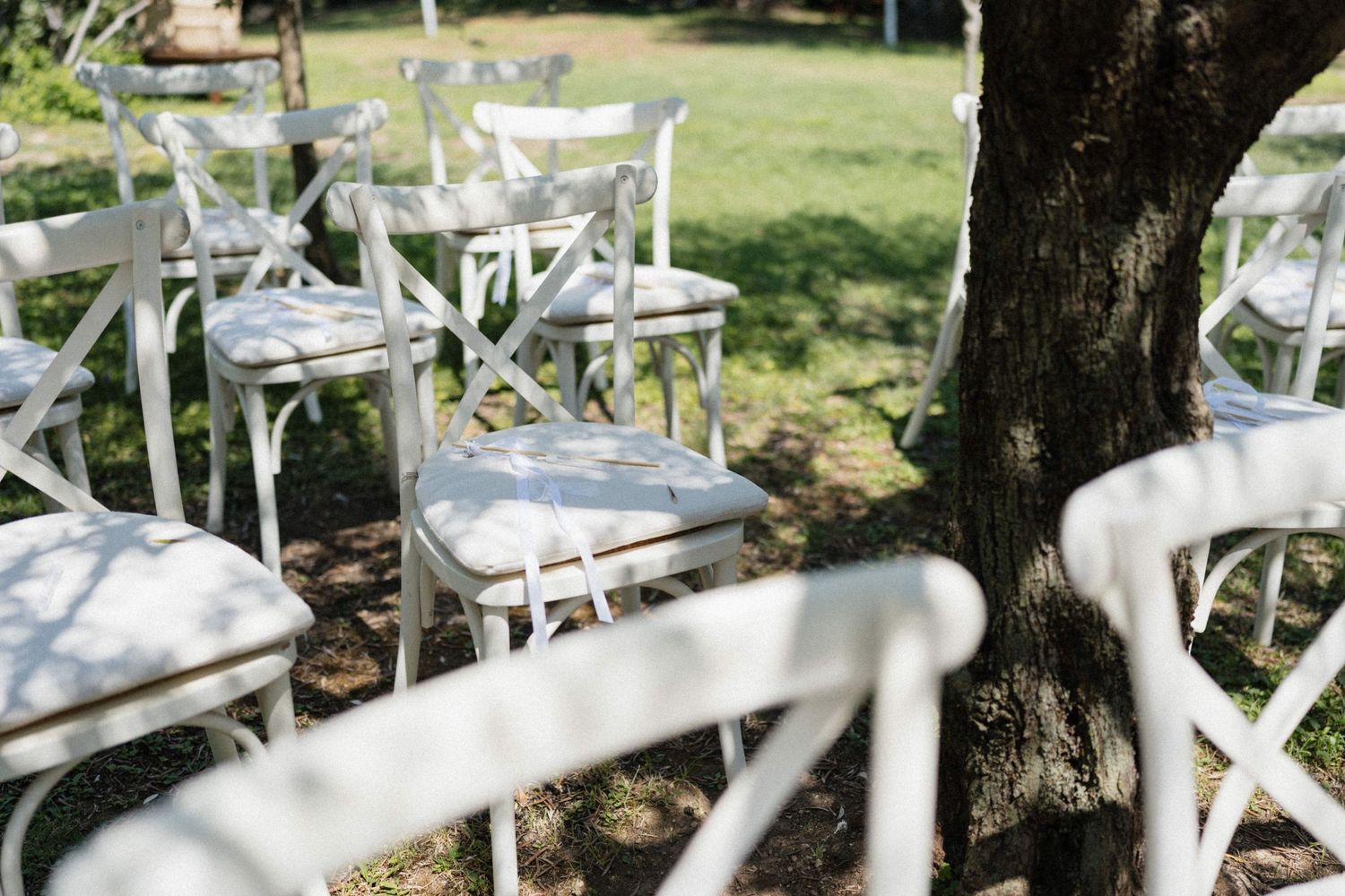 White cross-back chairs arranged outdoors under a tree for an elegant garden wedding ceremony.