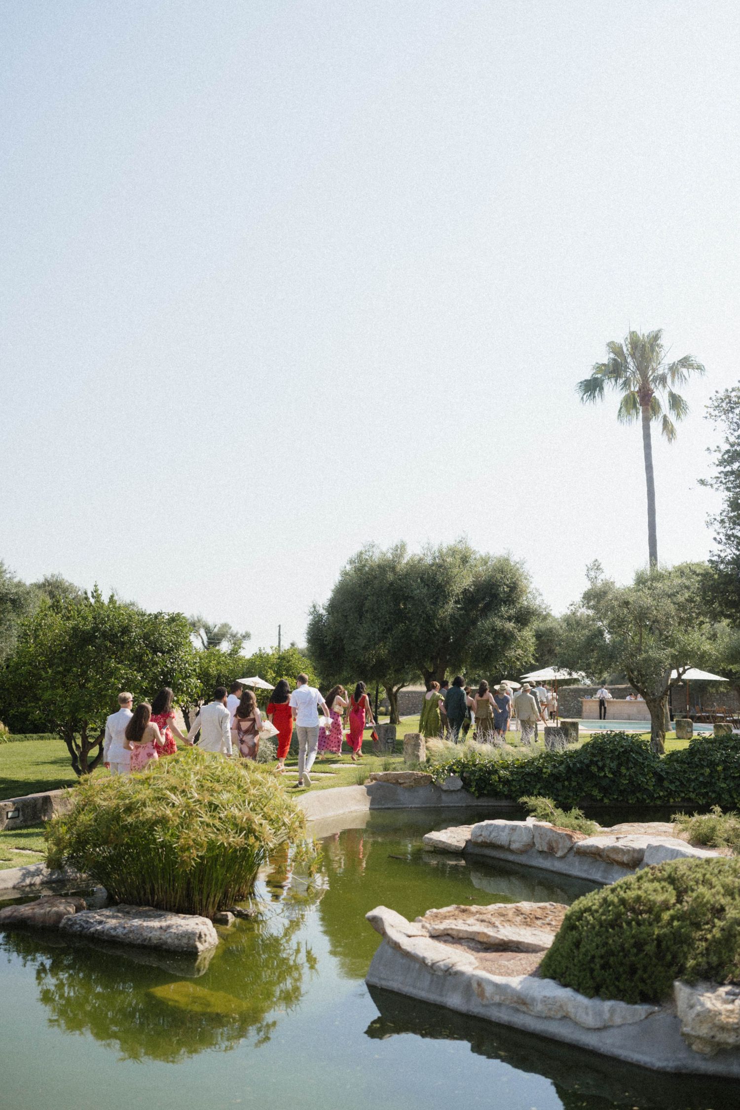Wedding guests stroll through lush garden with pond, palm tree, and olive trees after ceremony.