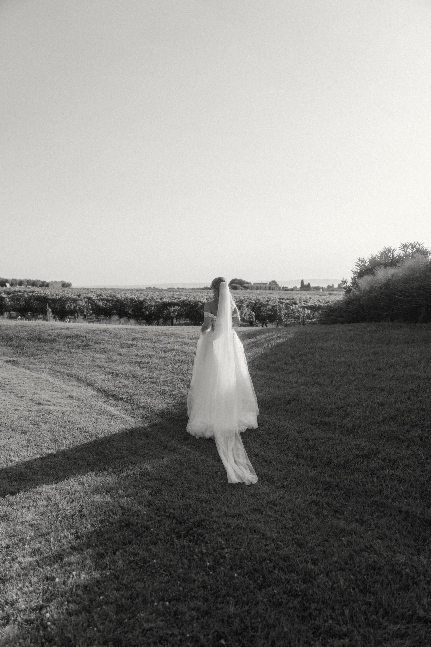 Black and white photo of bride in flowing wedding dress and veil standing in open field.
