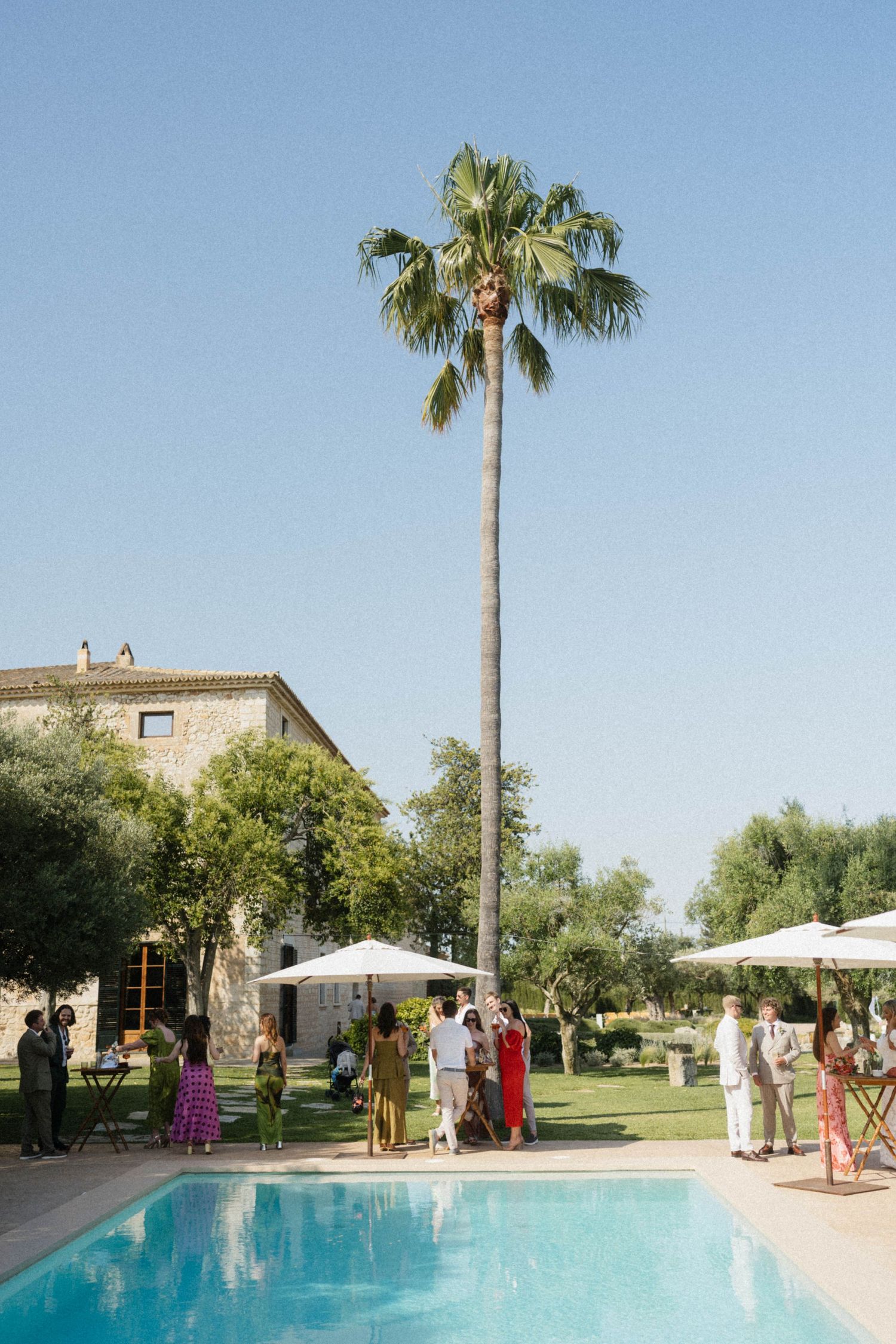 Aerial view of wedding guests mingling by a pool with a tall palm tree at a Spanish villa.
