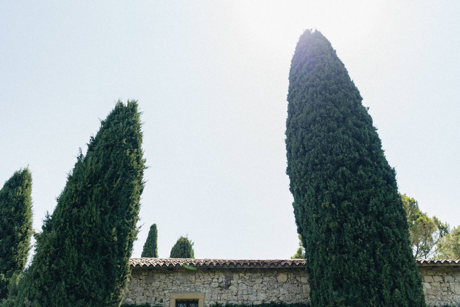 Tall cypress trees frame a rustic stone building under a bright sky in a Mediterranean landscape.