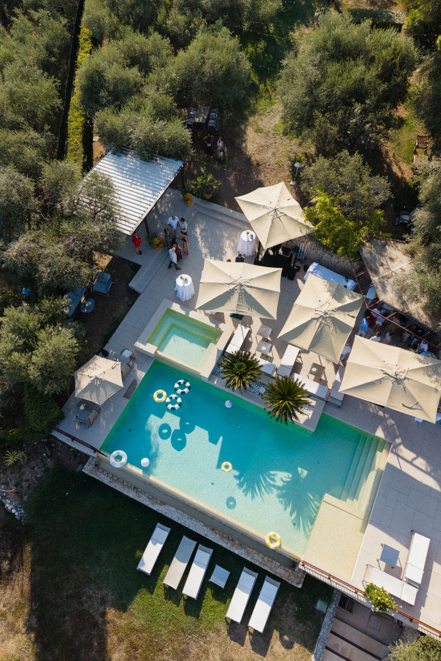 Aerial view of a luxury villa with a large pool surrounded by olive trees and sun loungers.