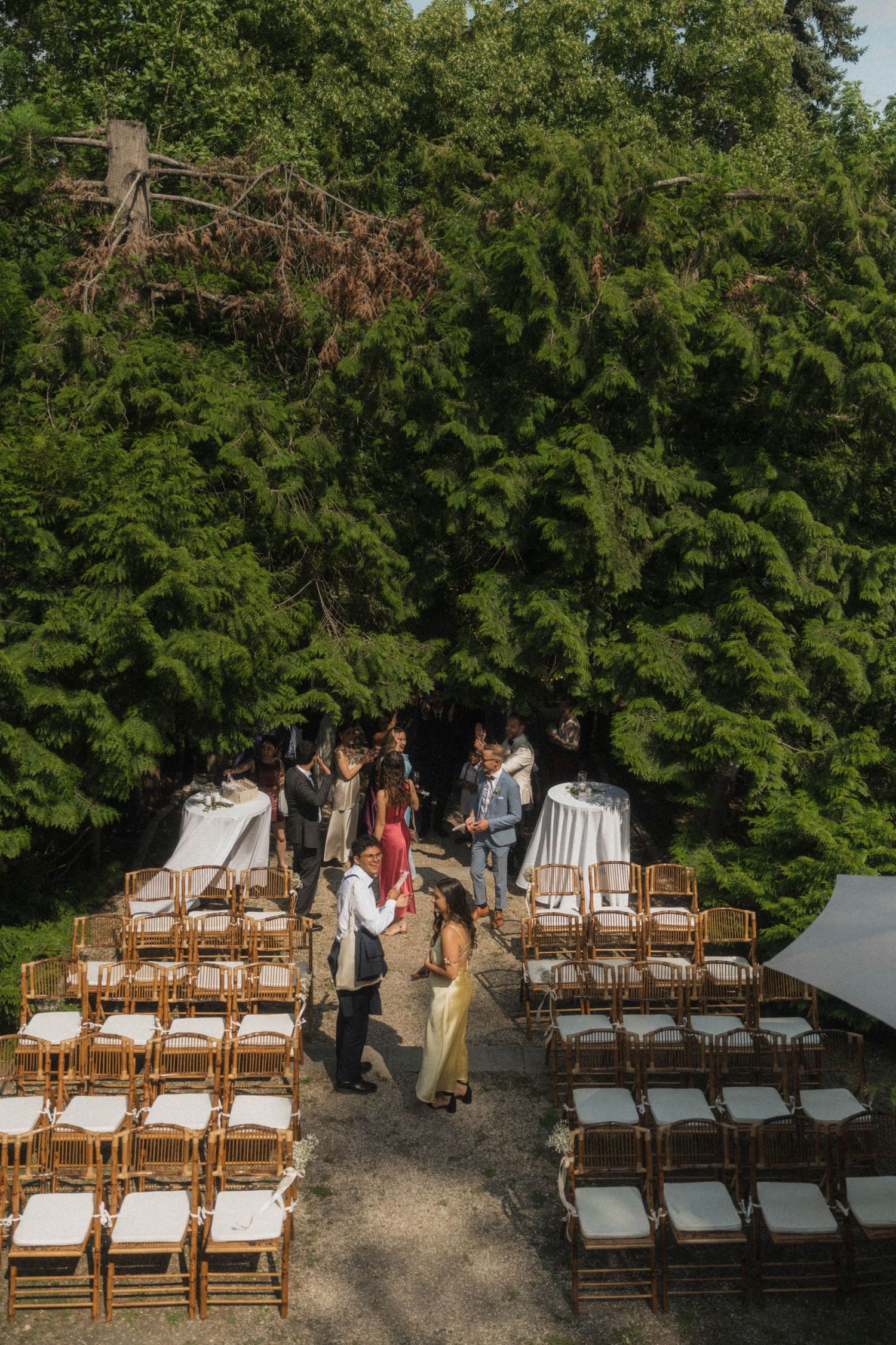 Aerial view of wooden chairs arranged in rows for an outdoor wedding ceremony surrounded by tall green trees.