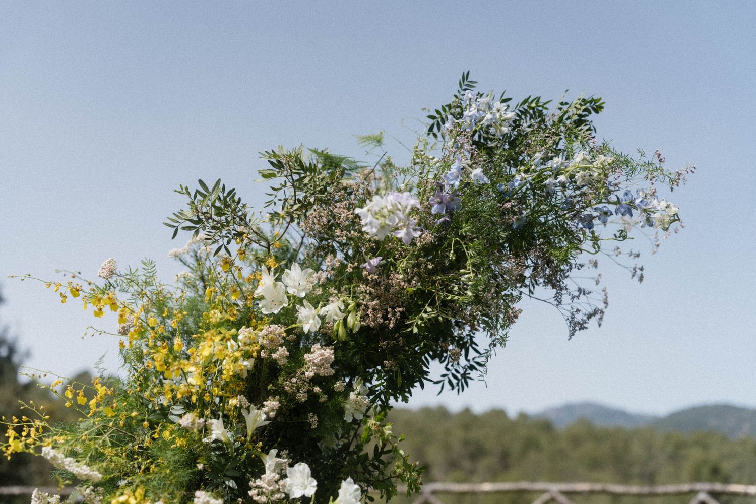 Wild floral arrangement with yellow mimosa and white blooms against a clear blue sky outdoors.