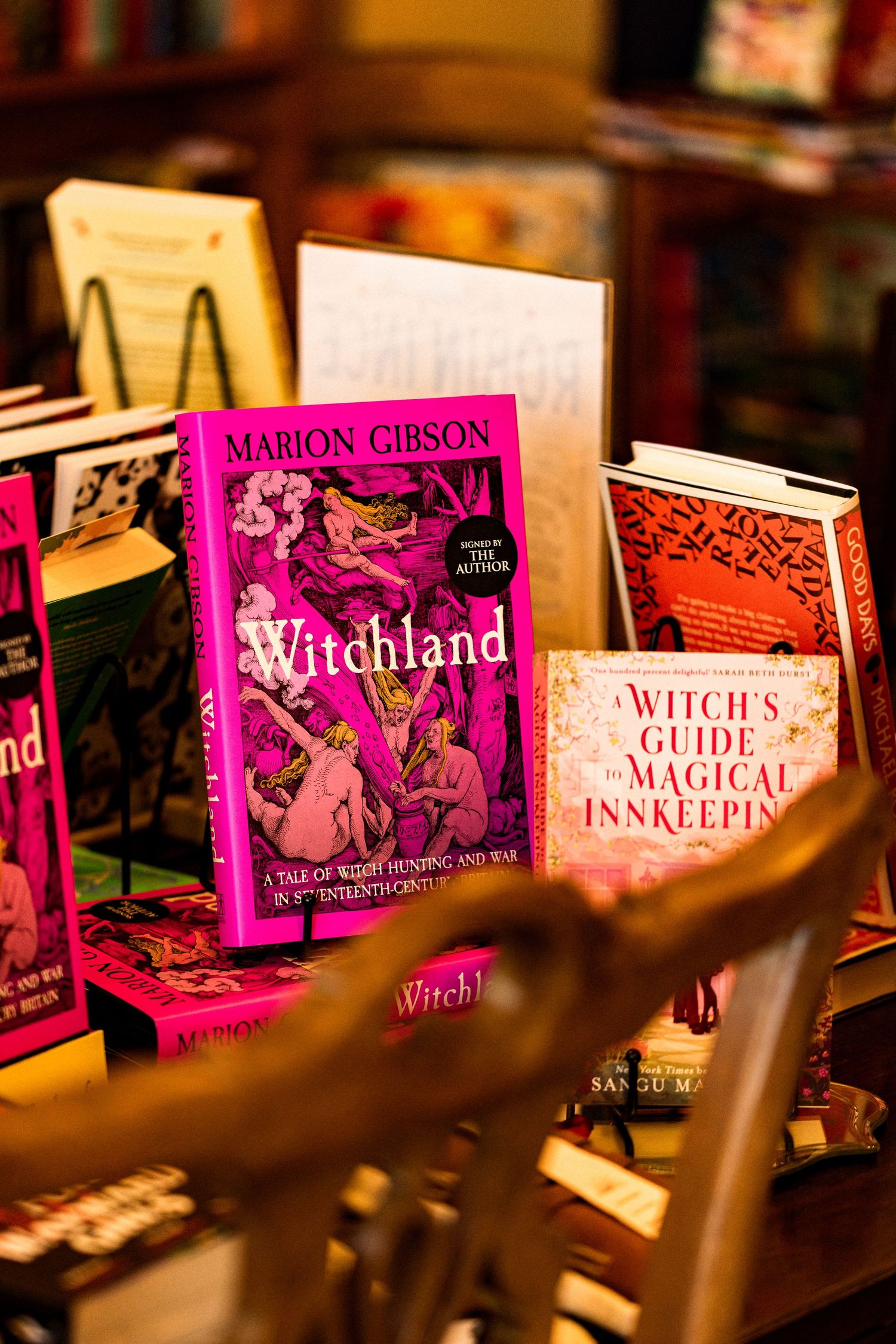 Witchland by Marion Gibson displayed among witchcraft and magical themed books in bookshop.