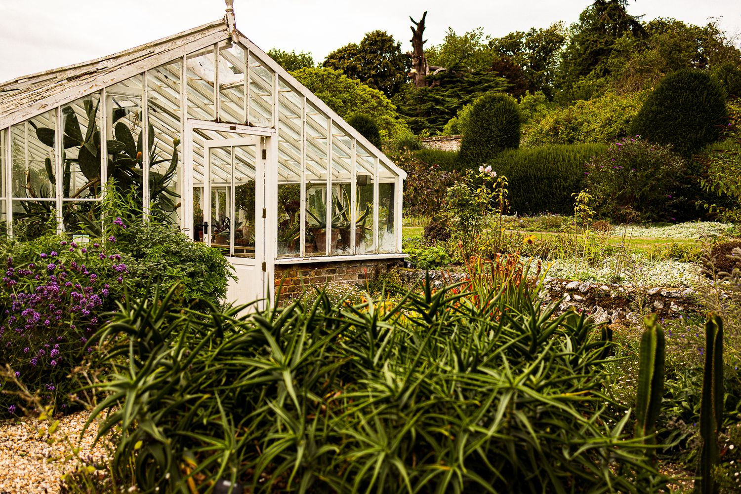 White greenhouse surrounded by lush green plants and manicured hedges in an English garden setting.