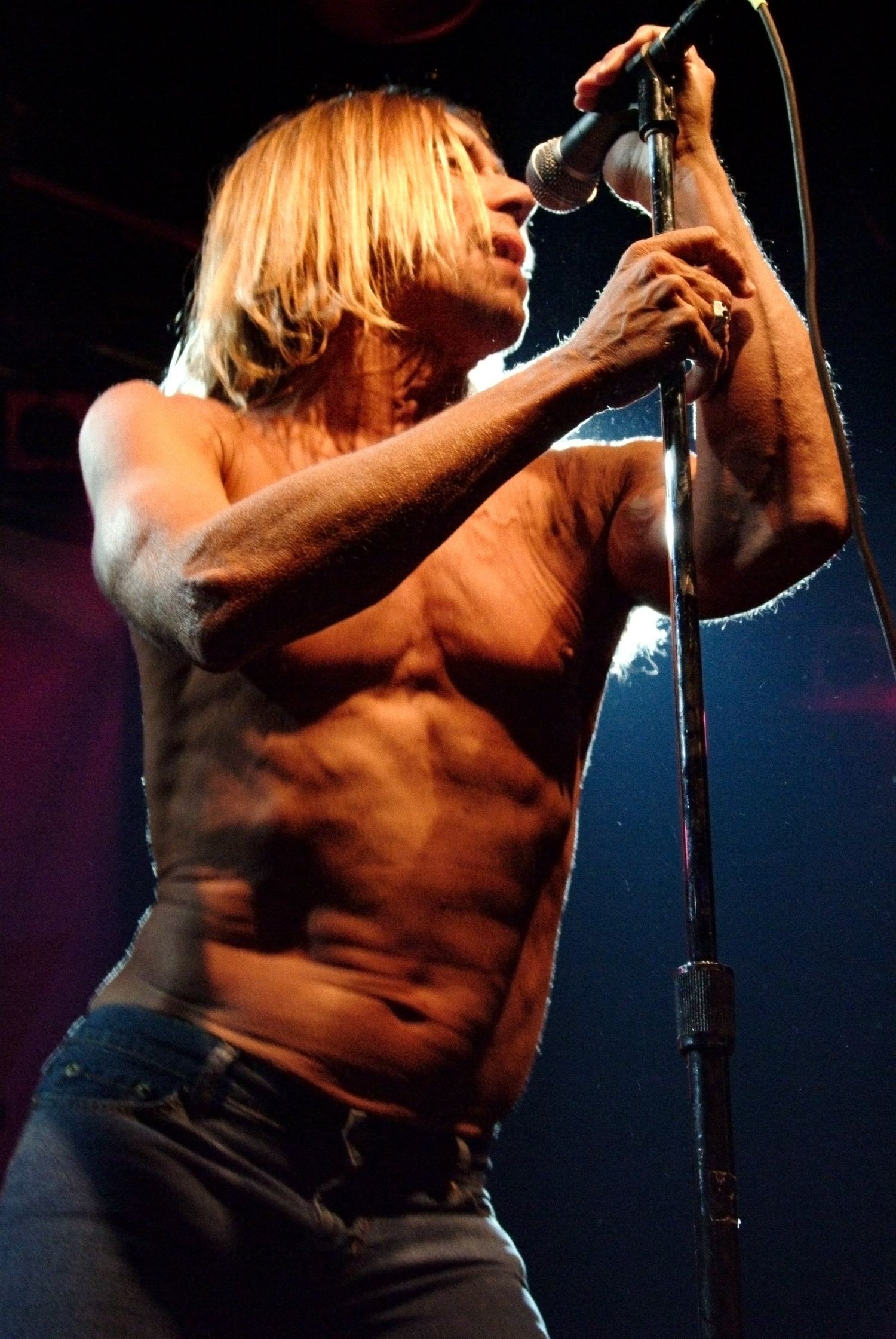 Iggy Pop performing live on stage in Toronto in 2003, photographed by Lisa Mark.
