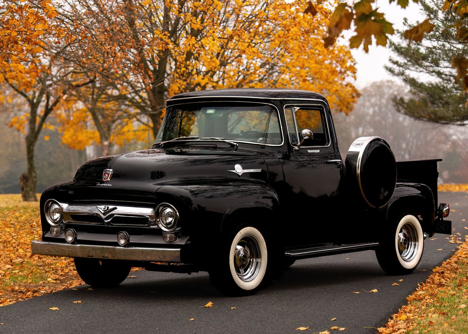 Classic black 1956 Ford F-100 pickup truck with whitewall tires surrounded by autumn foliage.