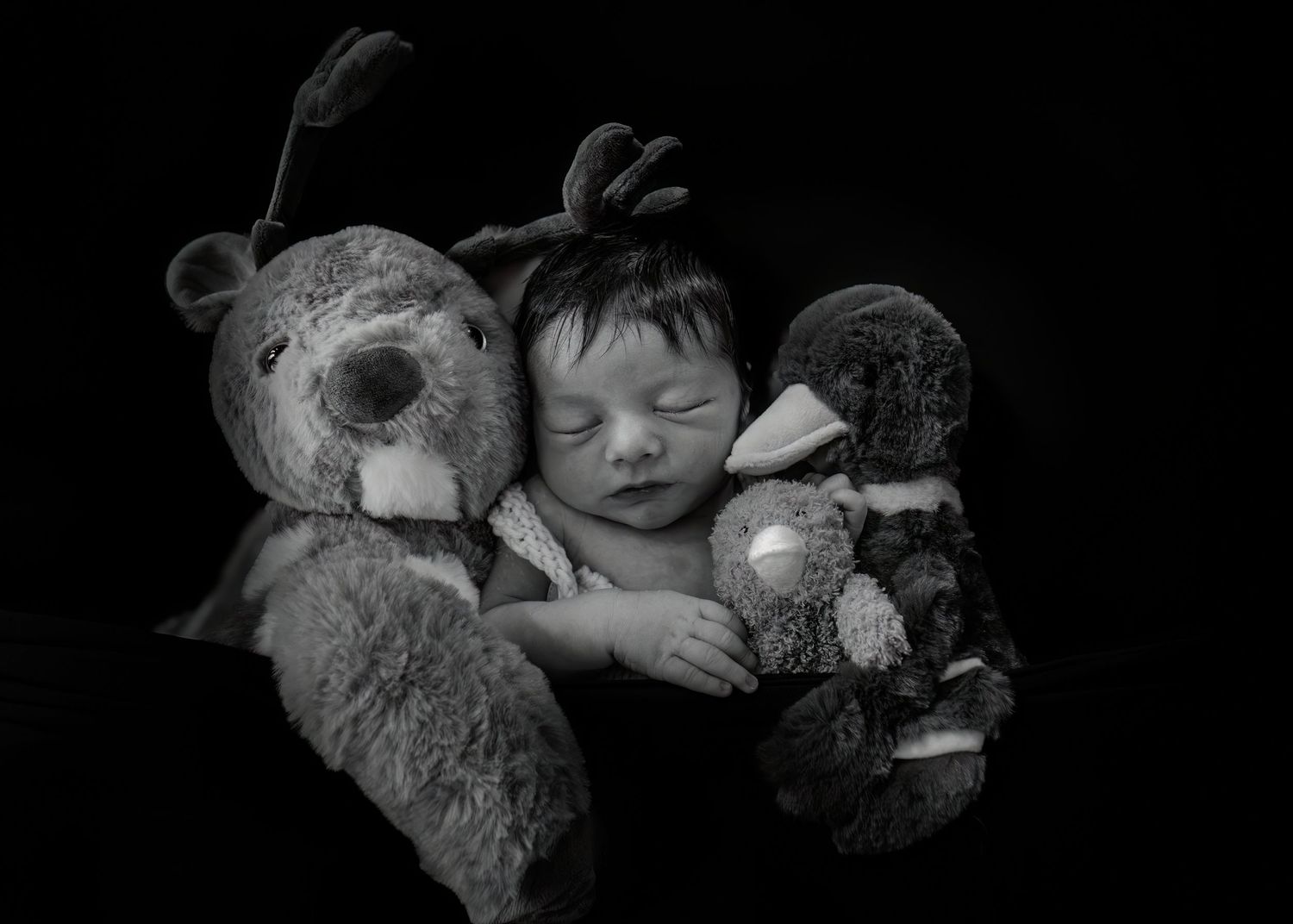 Peaceful newborn baby sleeping between two stuffed animal toys in black and white portrait.