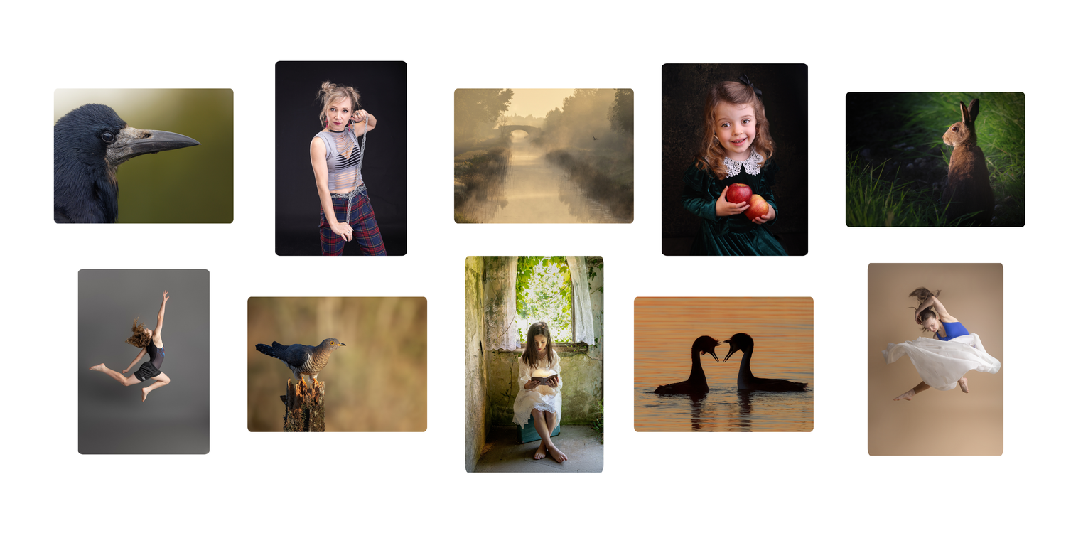 A collection of artistic portrait and nature photographs arranged in a horizontal grid layout.