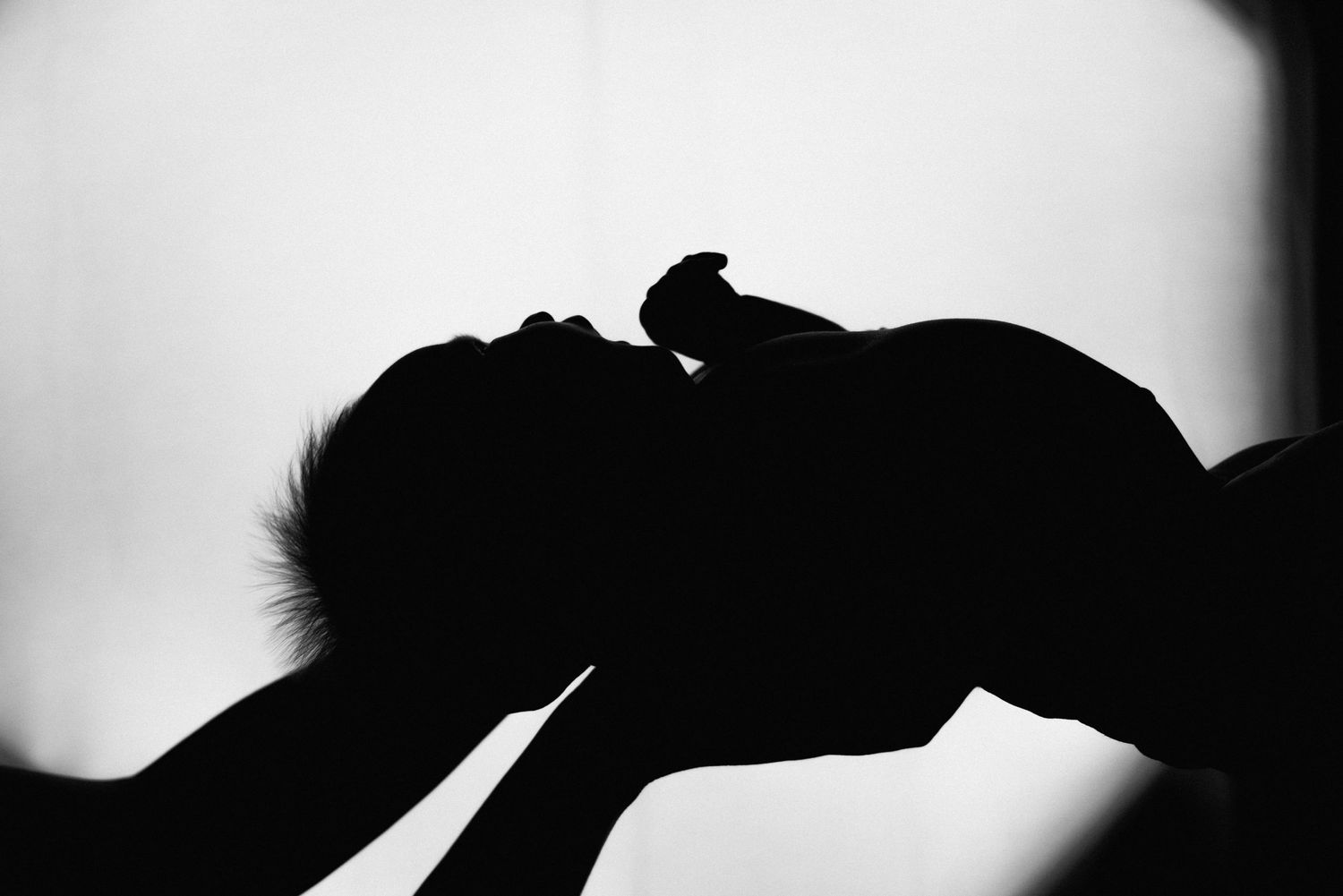 A dramatic black and white silhouette of a show jumping horse and rider against a light background.