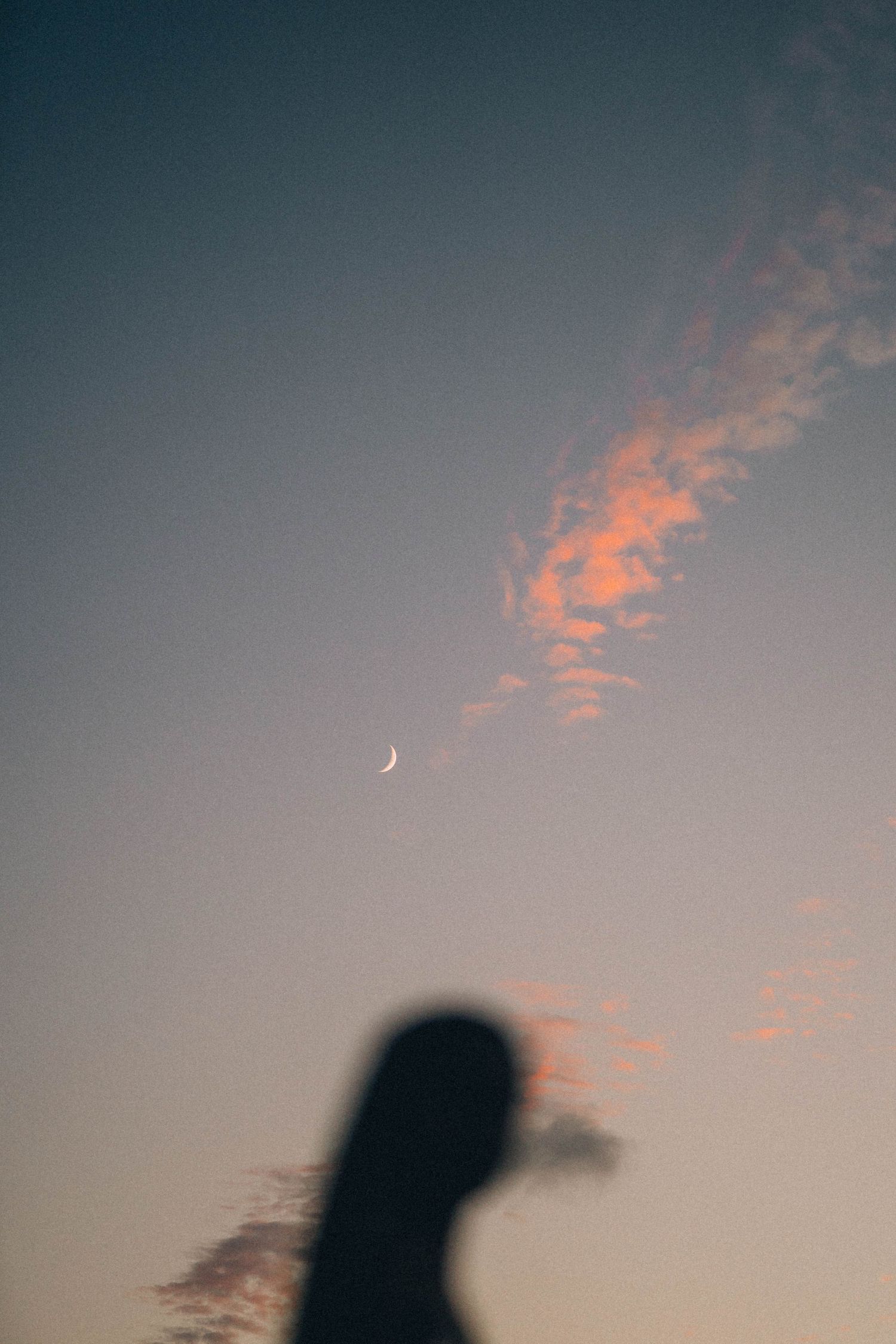Crescent moon and pink clouds in dusky blue sky with dark silhouette.