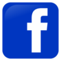 Facebook's iconic blue logo text with white background.