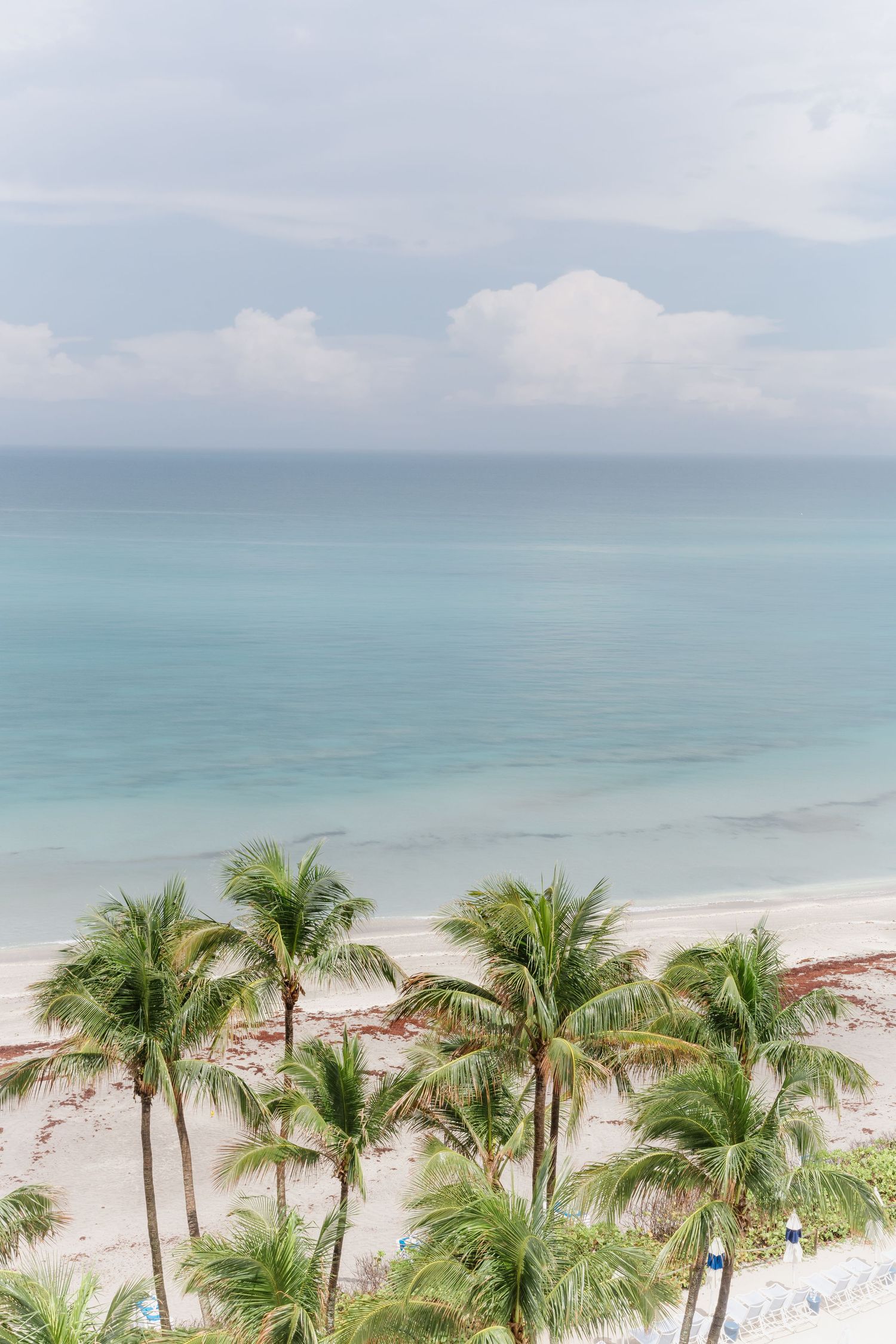 Aerial view of a tropical beach with tall palm trees, white sand, and calm turquoise ocean waters under a cloudy sky.