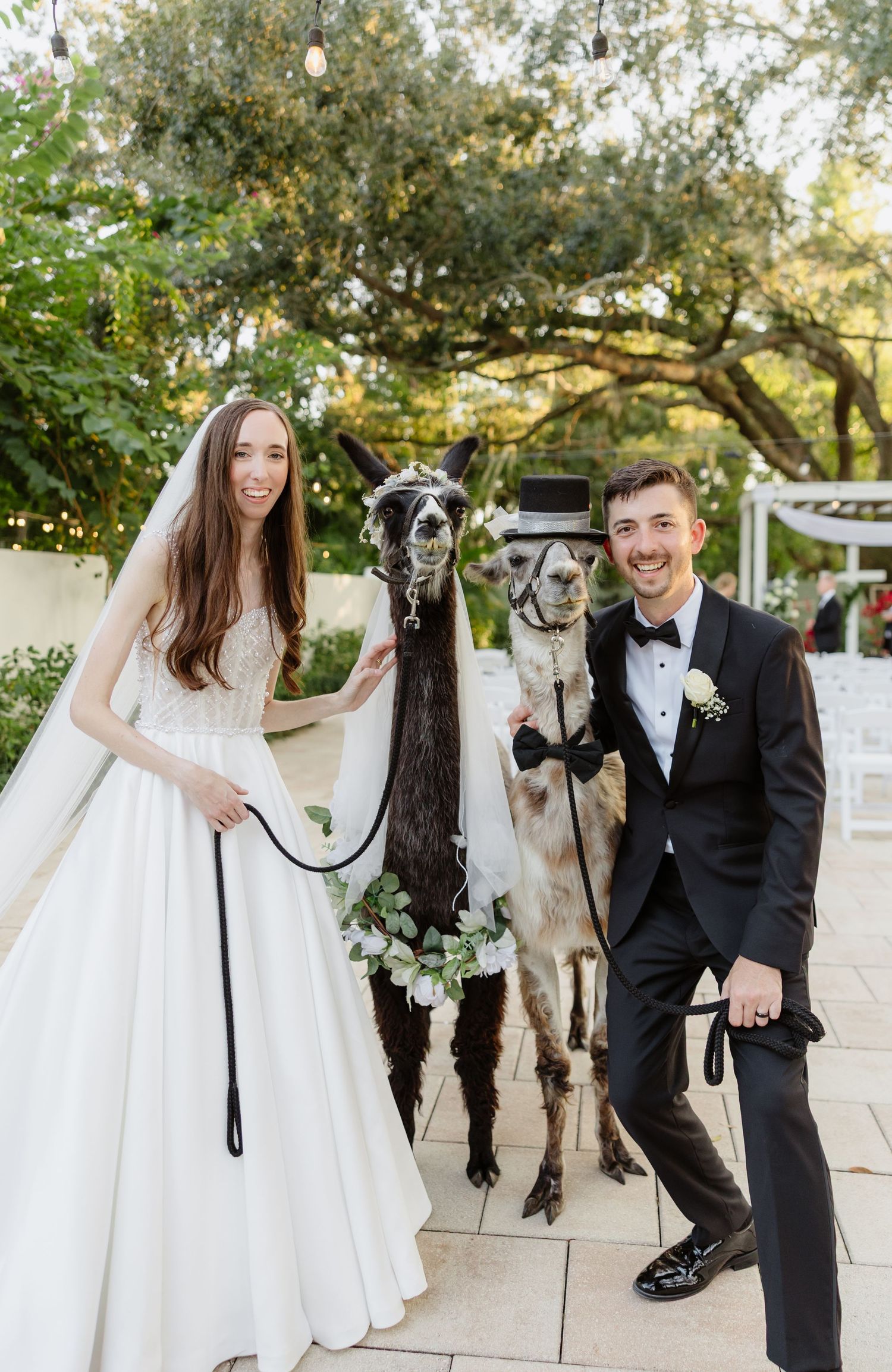 A wedding couple poses with their llamas in a garden setting during a unique outdoor celebration.
