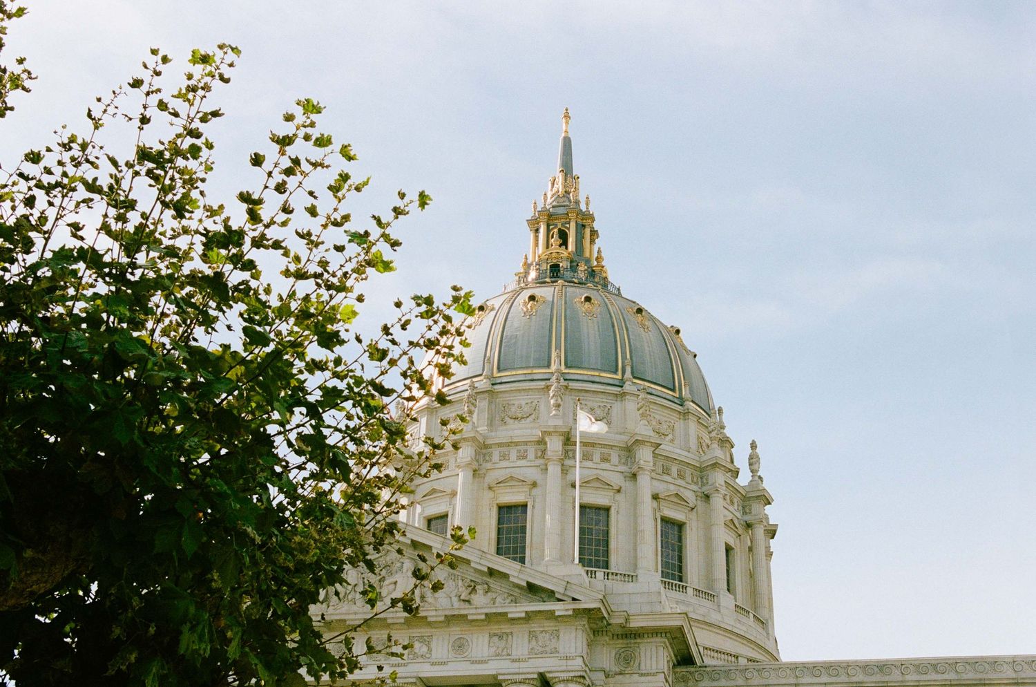 Ornate neoclassical dome of San Francisco City Hall rises against a pale blue sky with green tree foliage in foreground.